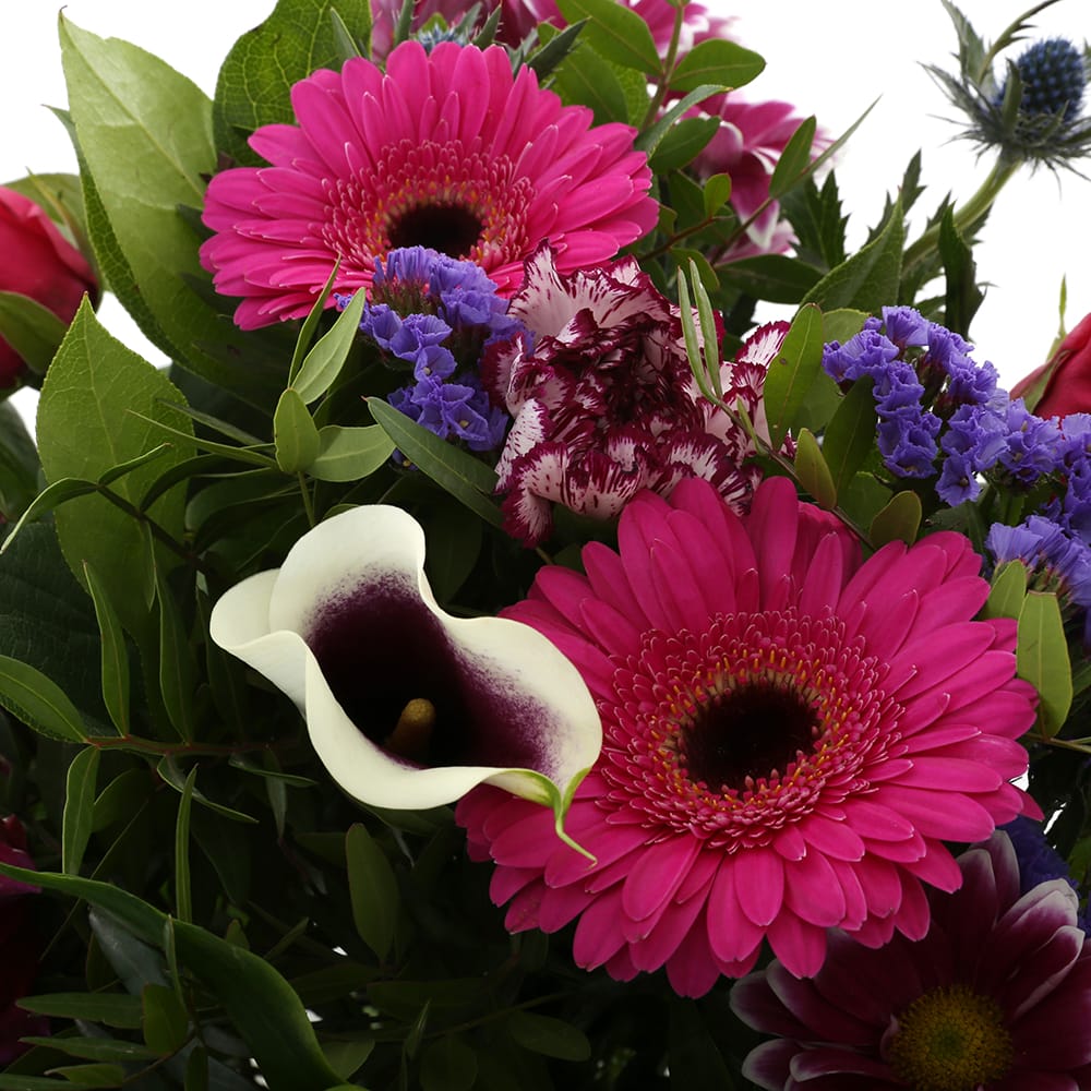 Boeket bloemen - Kim Extra Large Purple ↑ 50 cm - Afbeelding 3