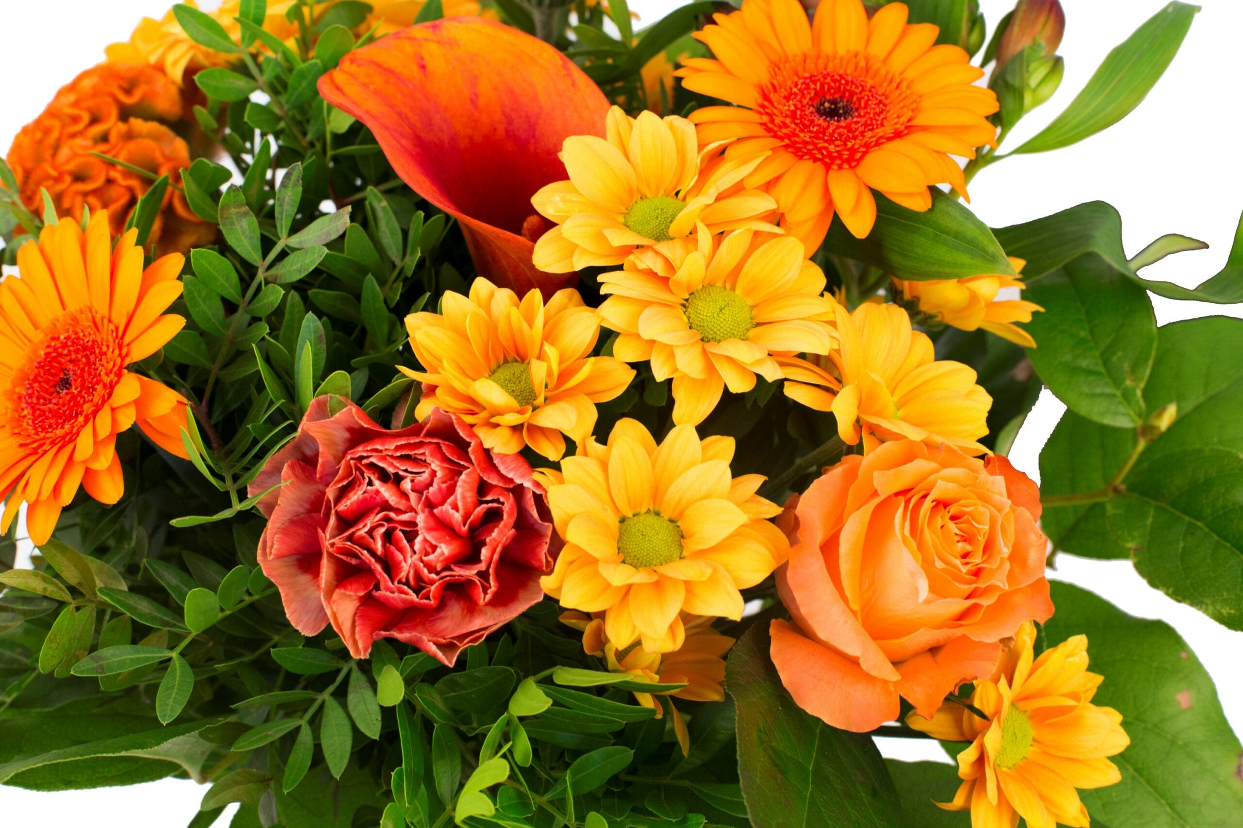 Boeket bloemen - Kim Medium Orange ↑ 40 cm - Afbeelding 4