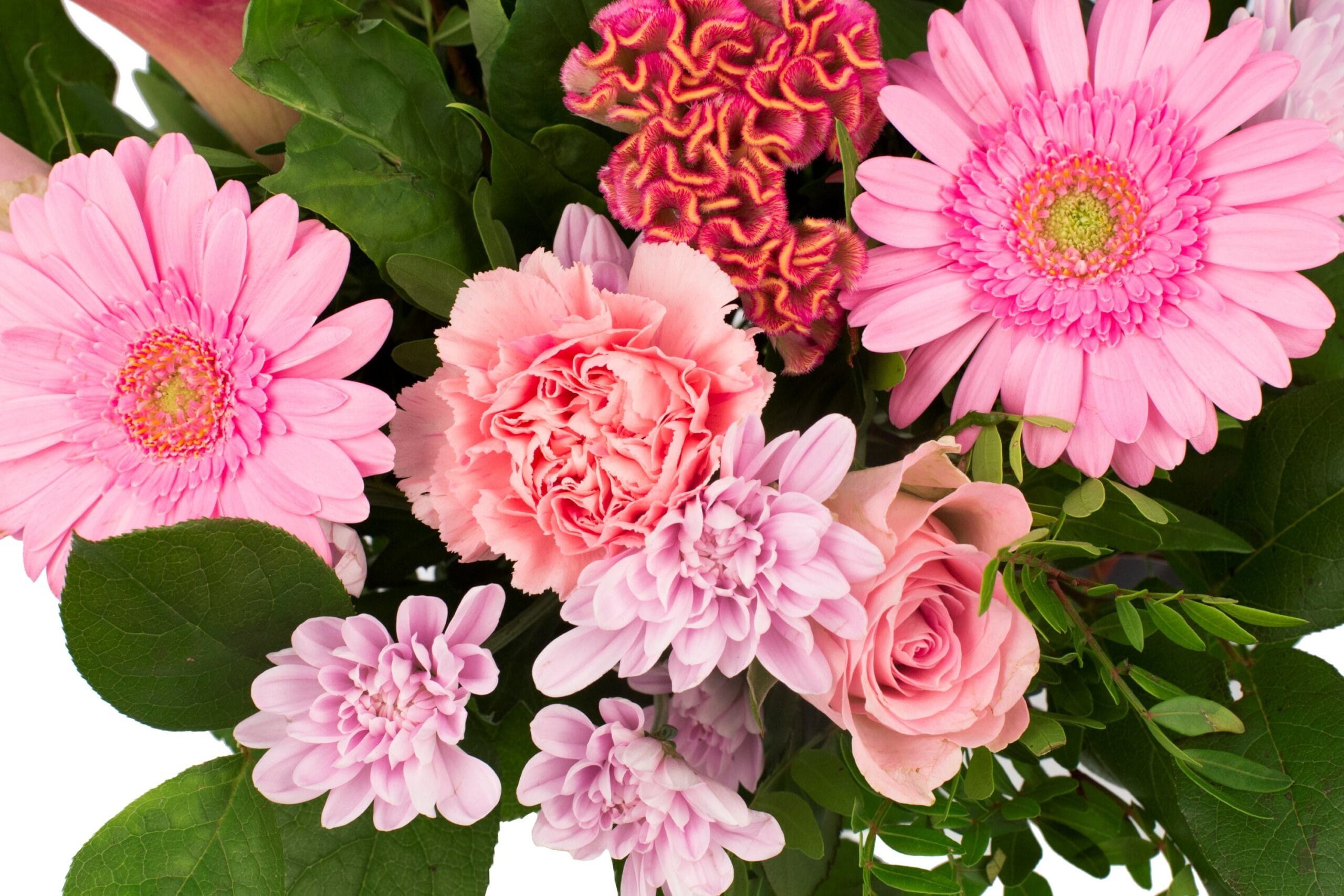 Boeket bloemen - Kim Medium Pink ↑ 40 cm - Afbeelding 4