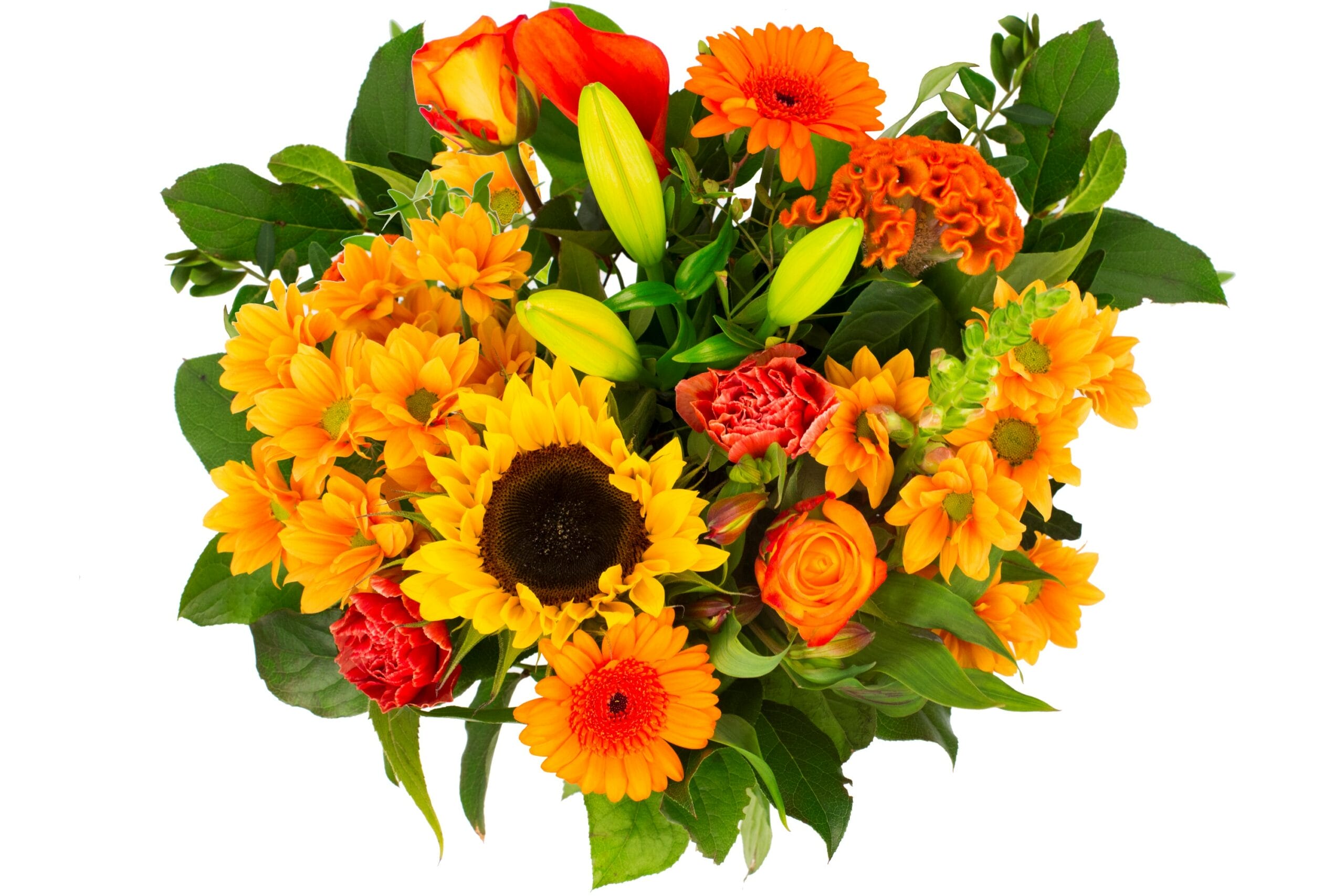 Boeket bloemen - Kim Large Orange ↑ 45 cm - Afbeelding 3