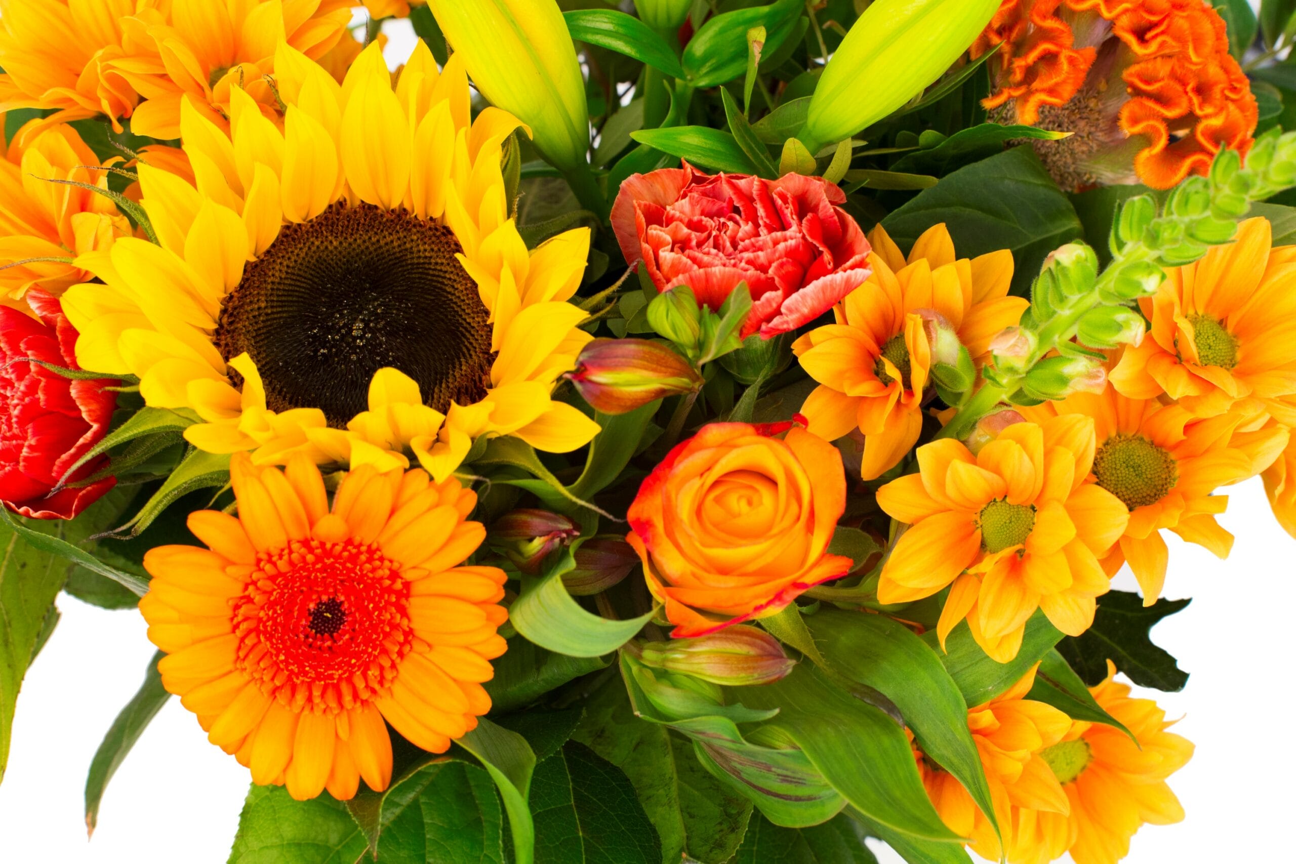 Boeket bloemen - Kim Large Orange ↑ 45 cm - Afbeelding 4