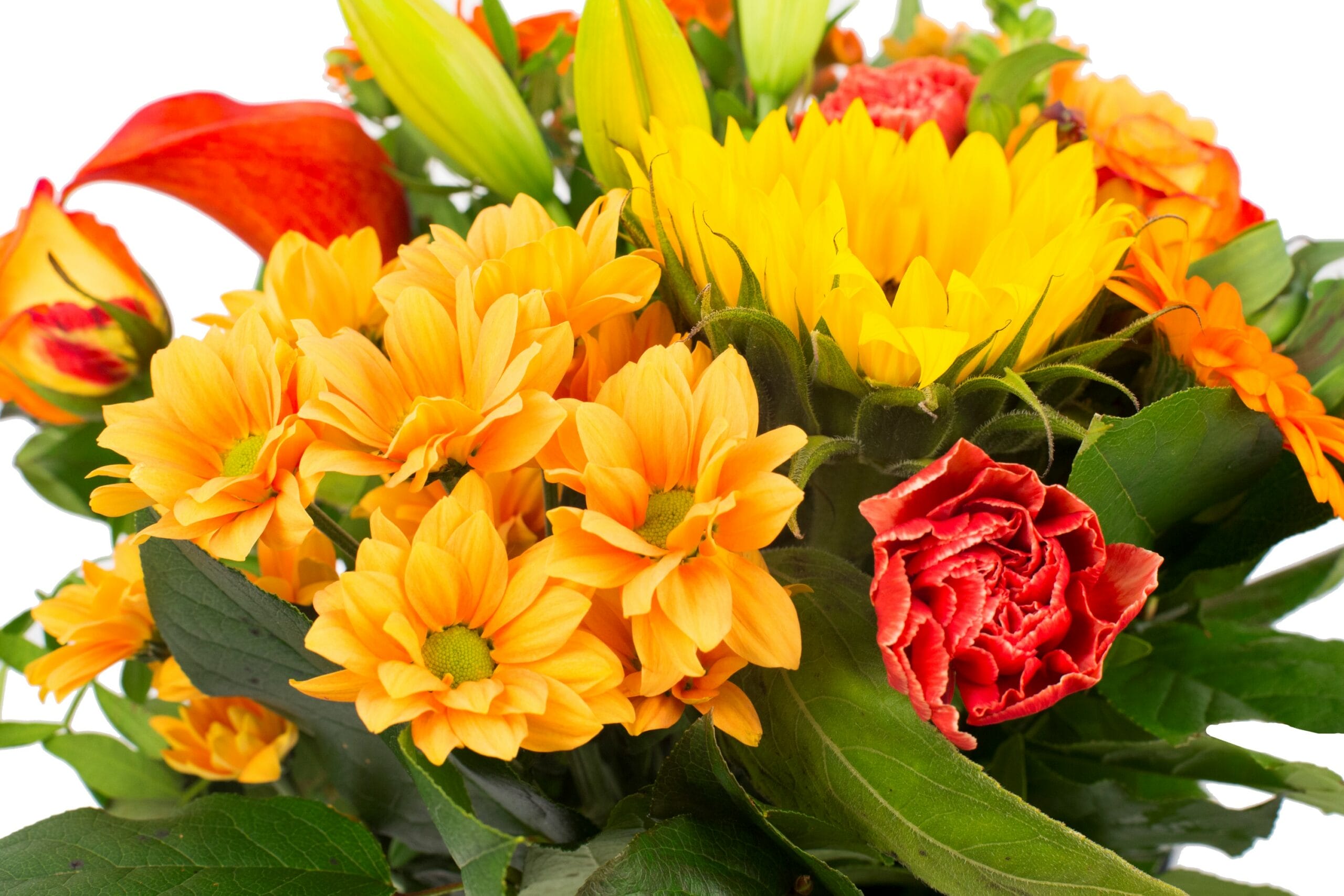 Boeket bloemen - Kim Large Orange ↑ 45 cm - Afbeelding 5