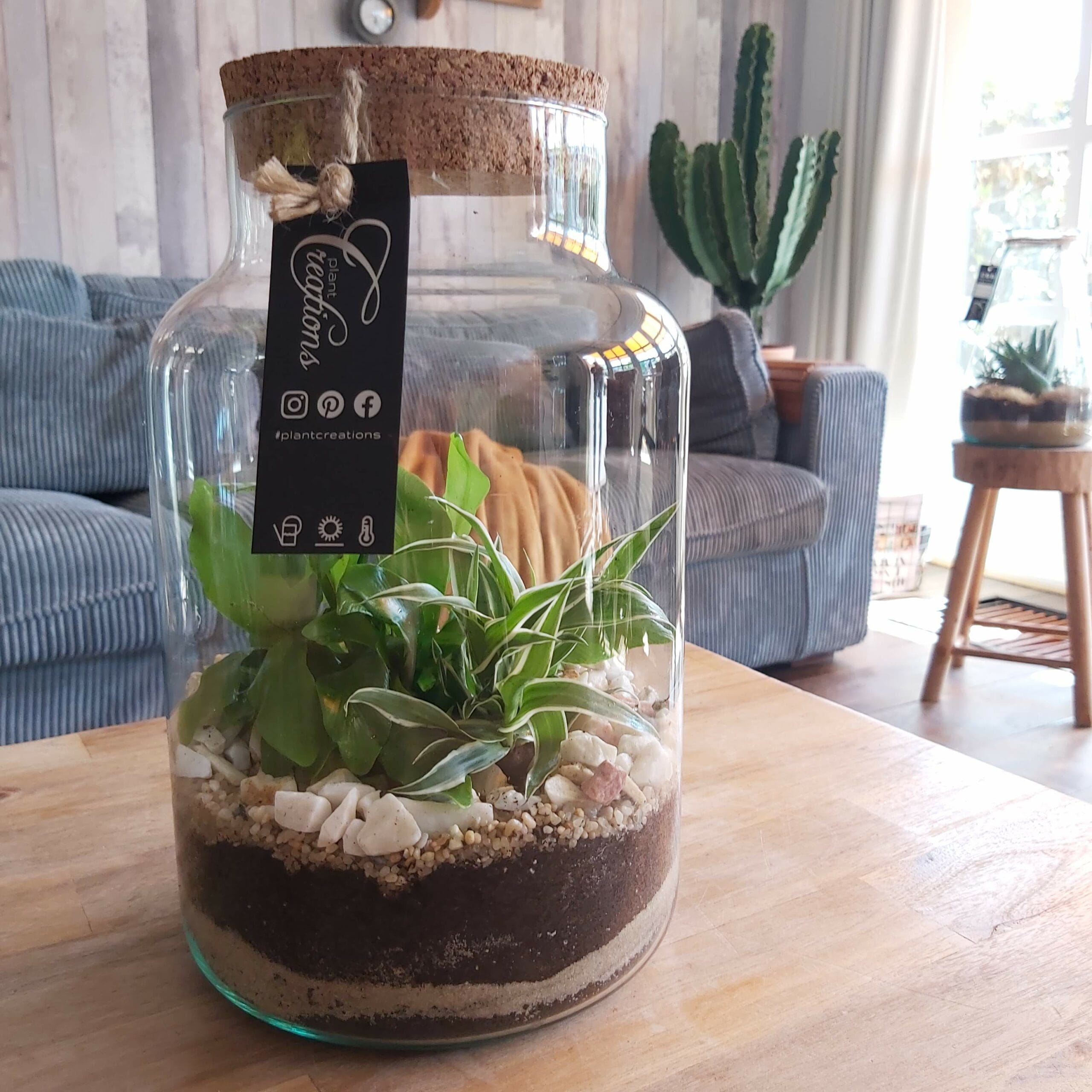 Planten terrarium | Doe-het-zelf | Varen in glas ↑ 30 cm ⌀ 20 cm - Afbeelding 4