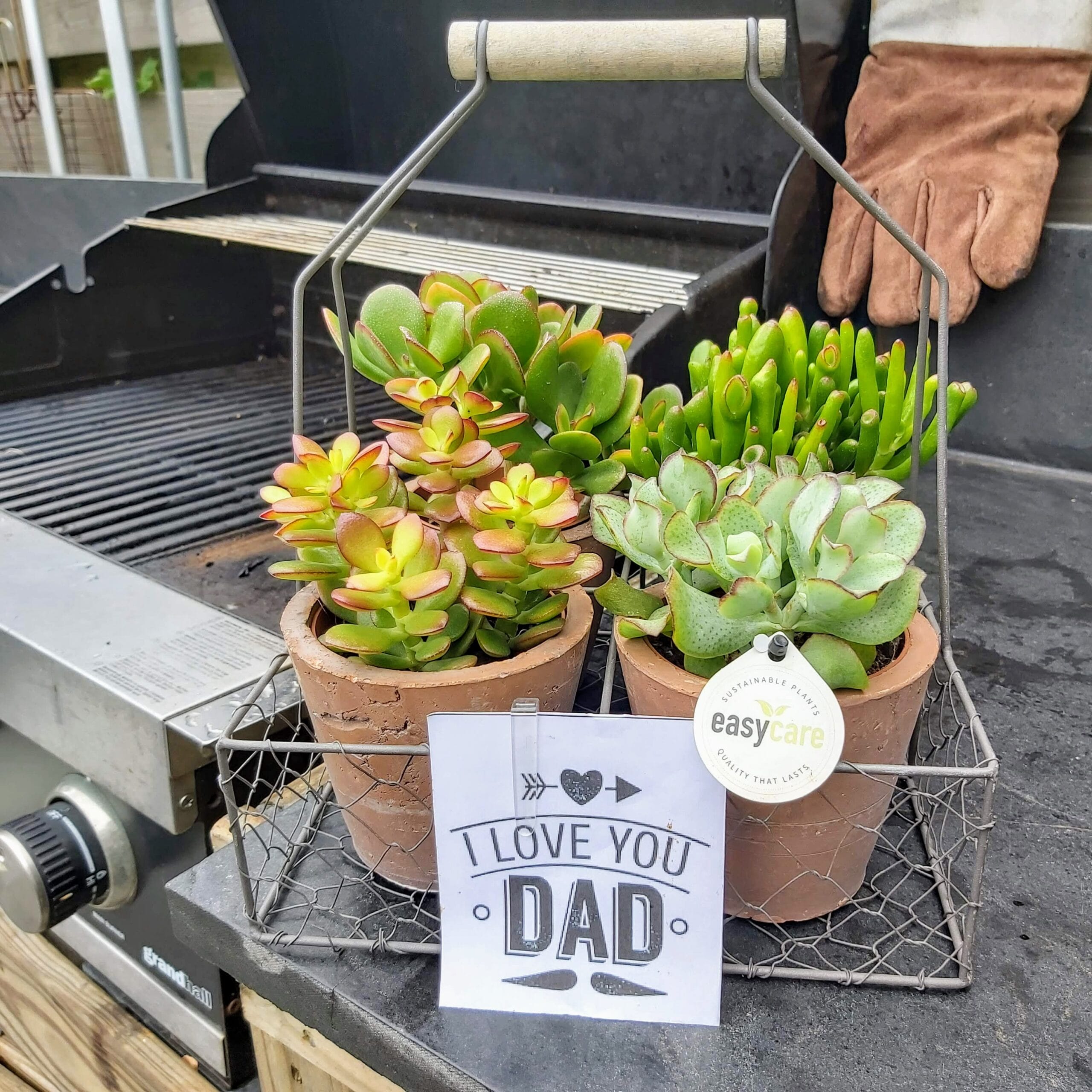 Vaderdag Giftbox - Easy Care ↑ 20 cm ⌀ 12 cm - Afbeelding 4