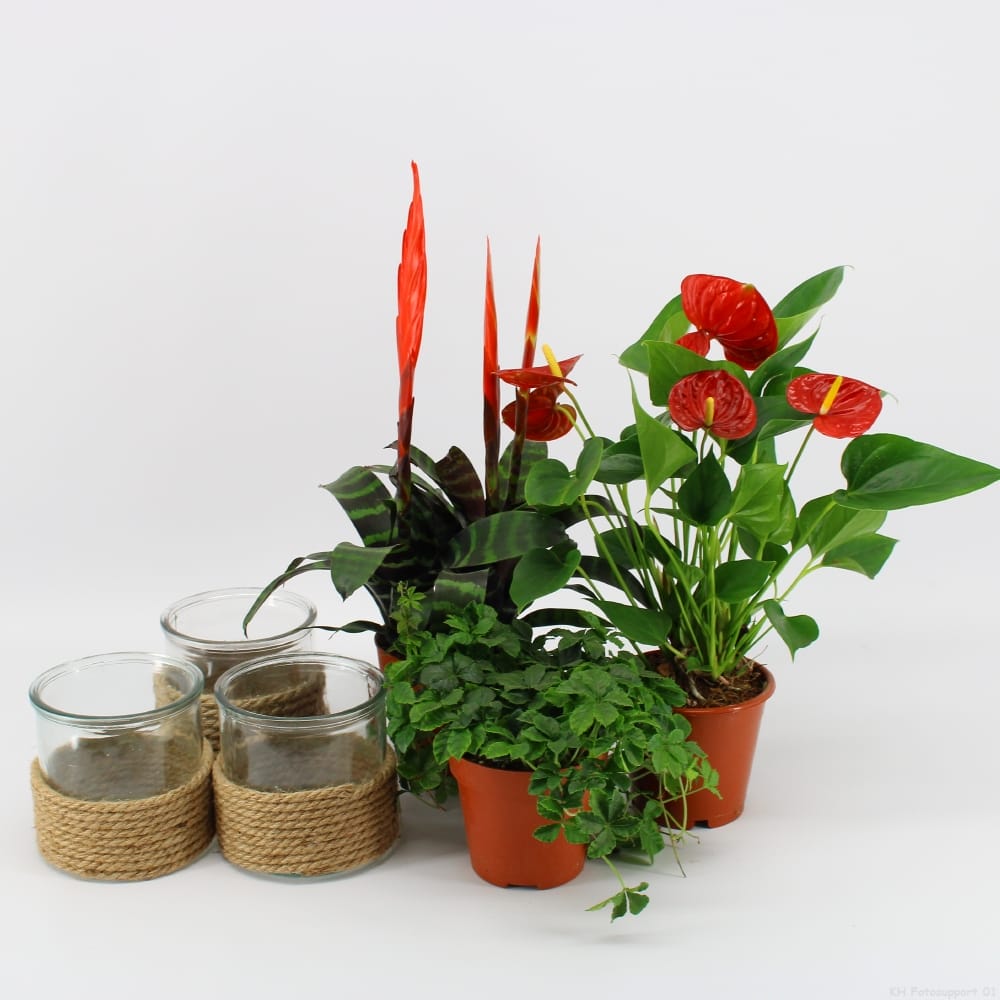 Vaderdag Giftbox - Zwaarden en hartjes ↑ 35 cm ⌀ 12 cm - Afbeelding 3