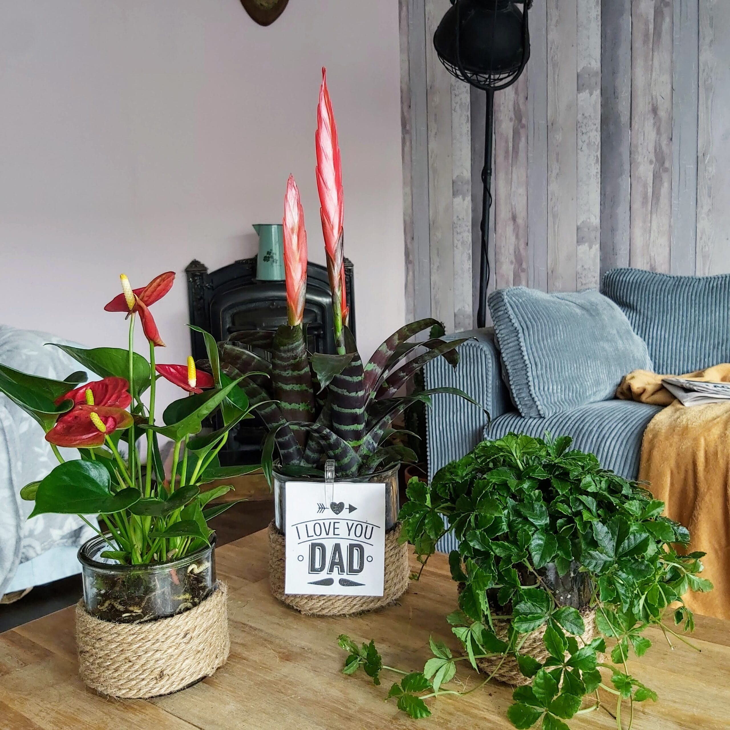 Vaderdag Giftbox - Zwaarden en hartjes ↑ 35 cm ⌀ 12 cm - Afbeelding 4