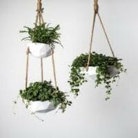 Hangplanten