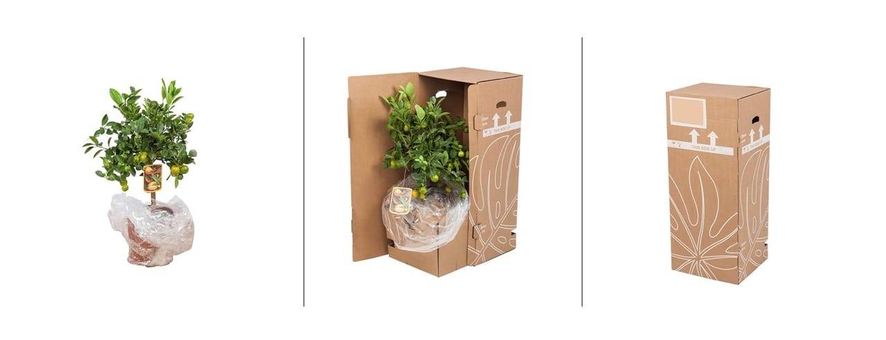 planten-direct-van-de-kweker-verpakking