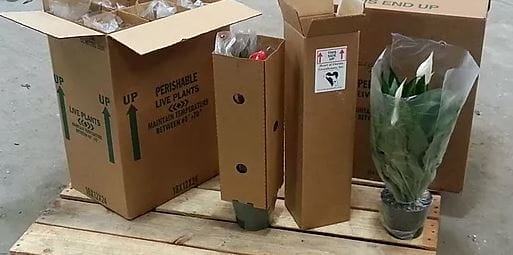 planten kopen den bosch