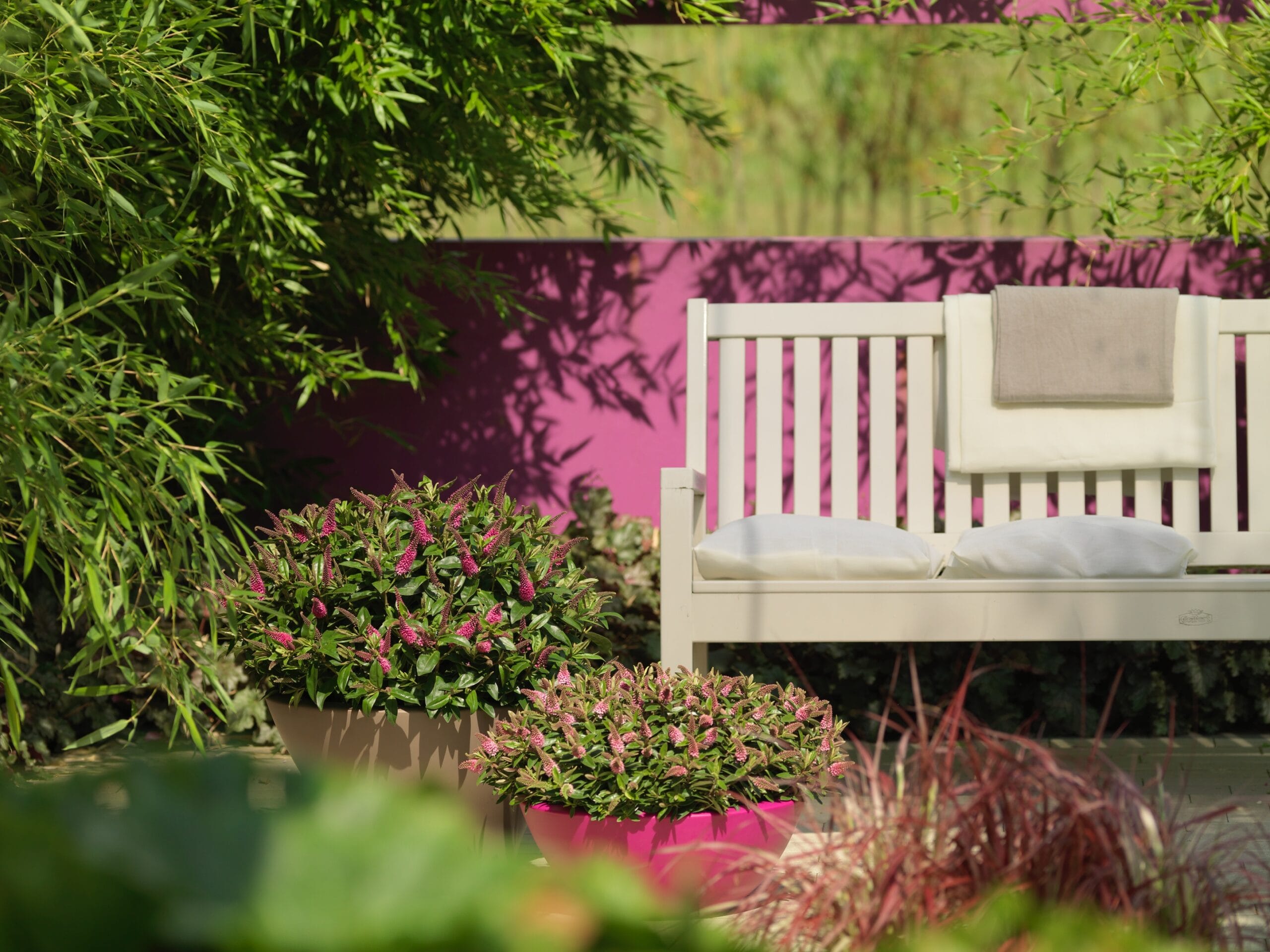 Addenda Hebe Donna roze ↑ 45 cm ⌀ 17 cm - Afbeelding 3