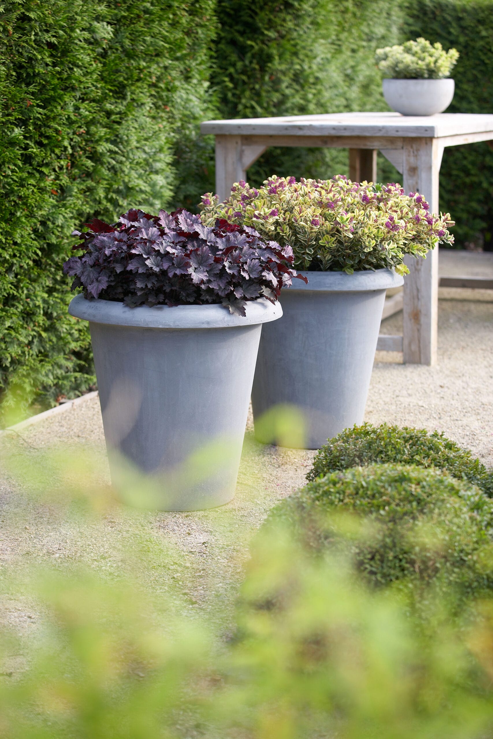 Addenda Hebe Classica ↑ 50 cm ⌀ 23 cm - Afbeelding 4