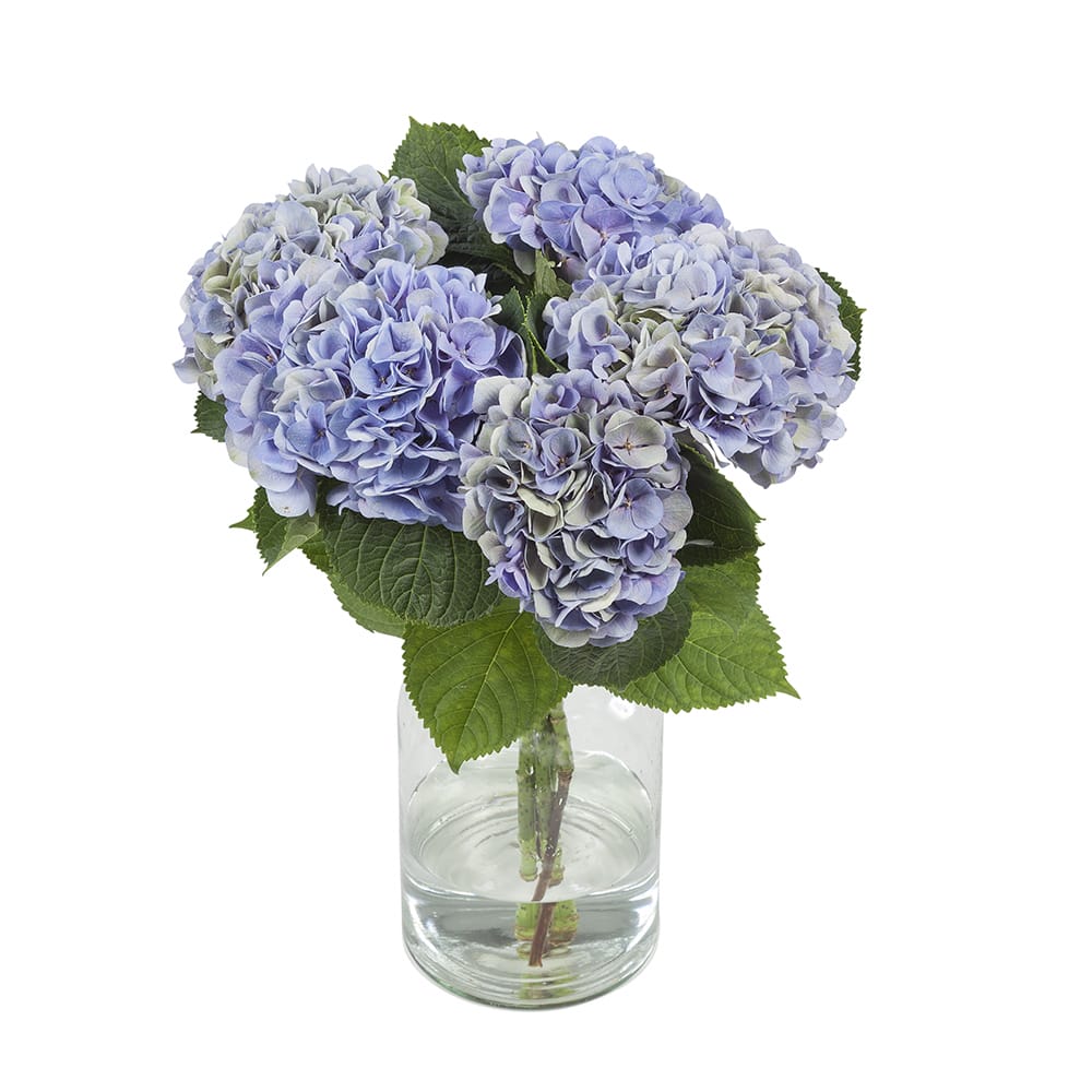 Boeket hortensia bloemen ↑ 60 cm - Afbeelding 2
