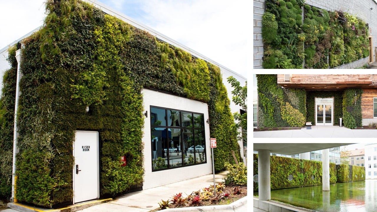 moswand buiten - moswand inspiratie voor buiten