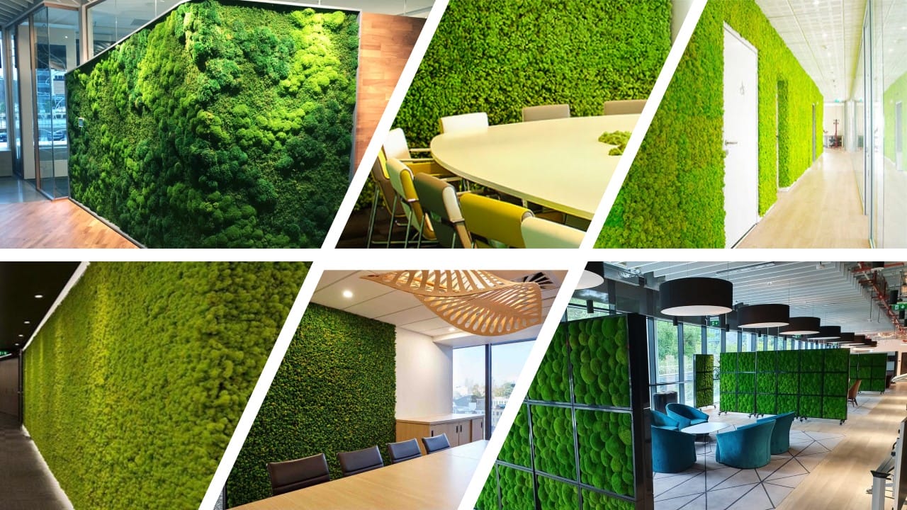 moswand kantoor - moswand inspiratie voor op kantoor of in je showroom