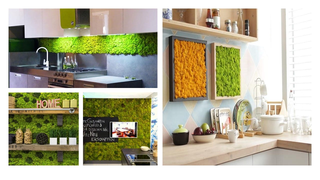 moswand keuken - moswand inspiratie voor in de keuken