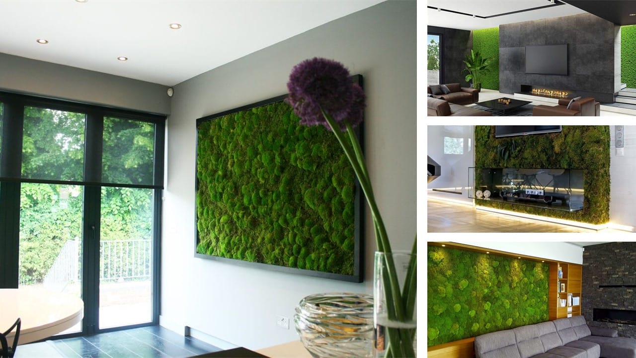 mowand woonkamer - moswand inspiratie voor een moswand thuis in je woonkamer