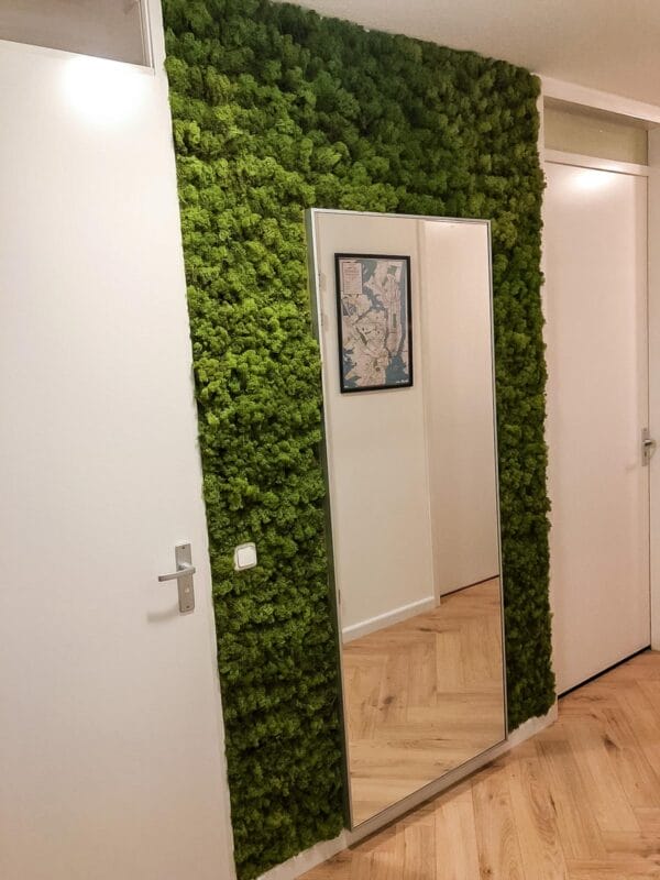 muur gang na moswand maken