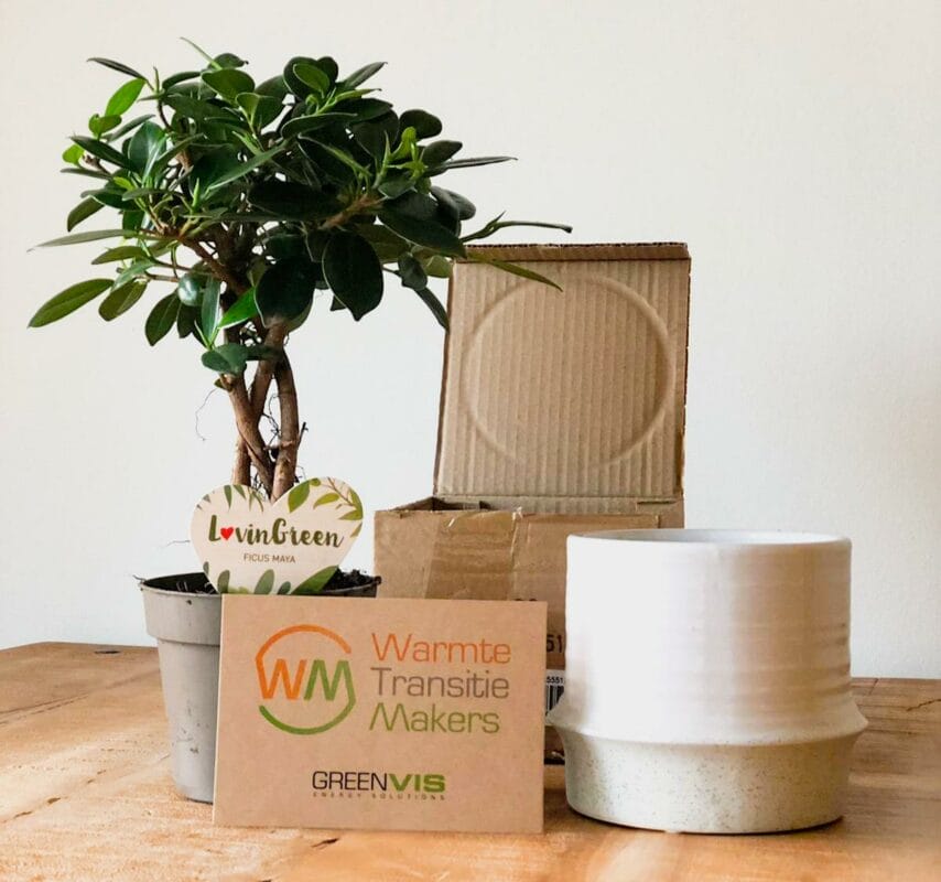 plant relatiegeschenk als duurzaam eco relatiegeschenk