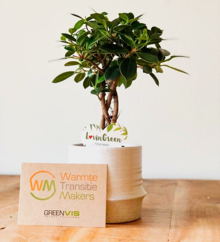 plant relatiegeschenk als duurzaam eco relatiegeschenk personaliseren