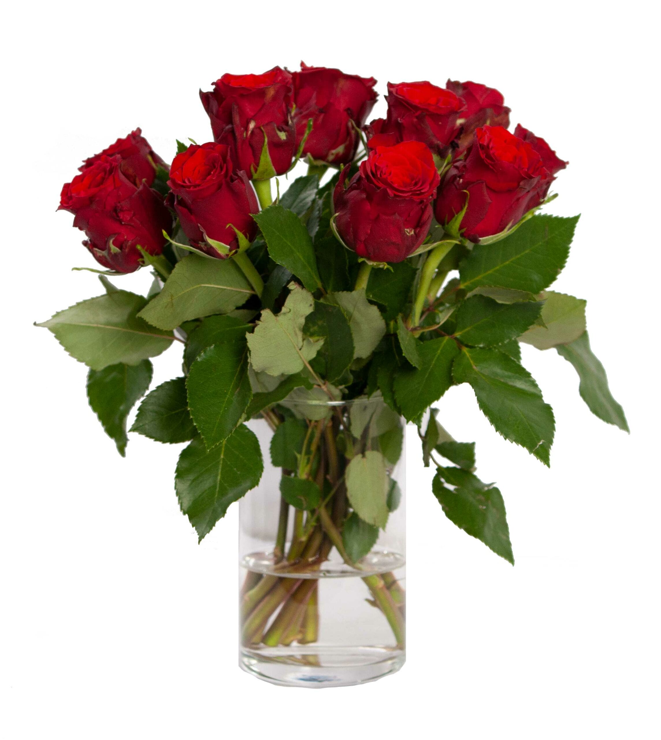 Brievenbuspost rode rozen ↑ 30 cm