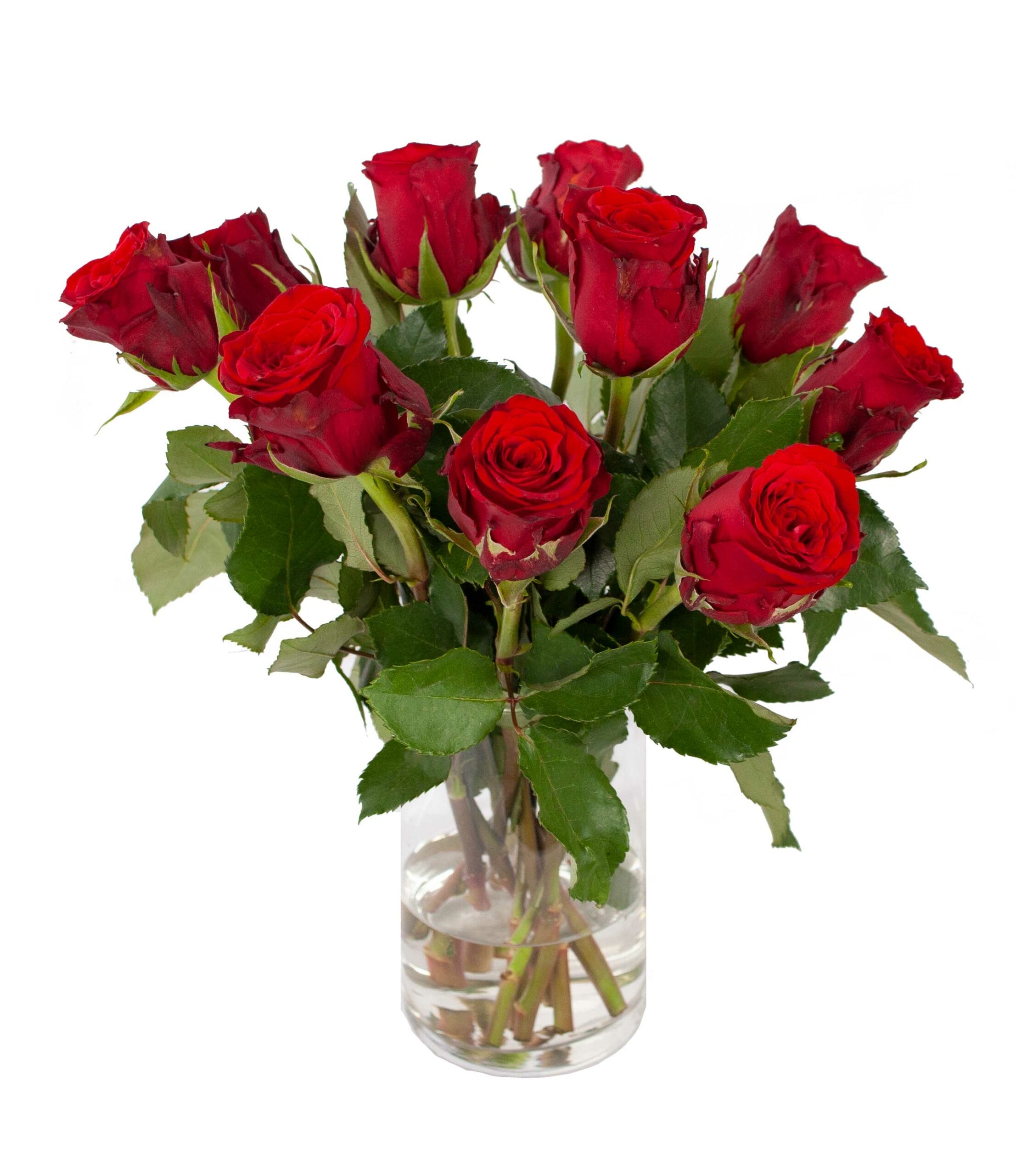 Brievenbuspost rode rozen ↑ 30 cm - Afbeelding 3