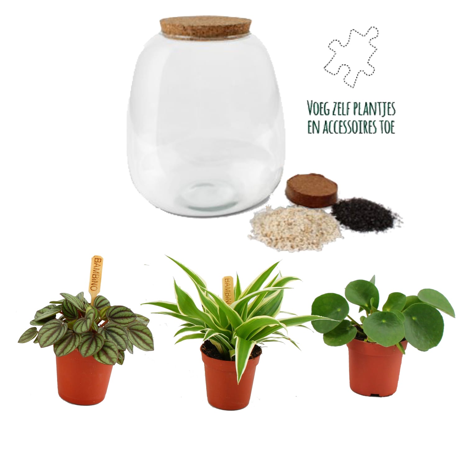 Planten terrarium DIY - Plant Puzzle Ecosysteem - met verlichting ↑ 25 cm ⌀ 23 cm