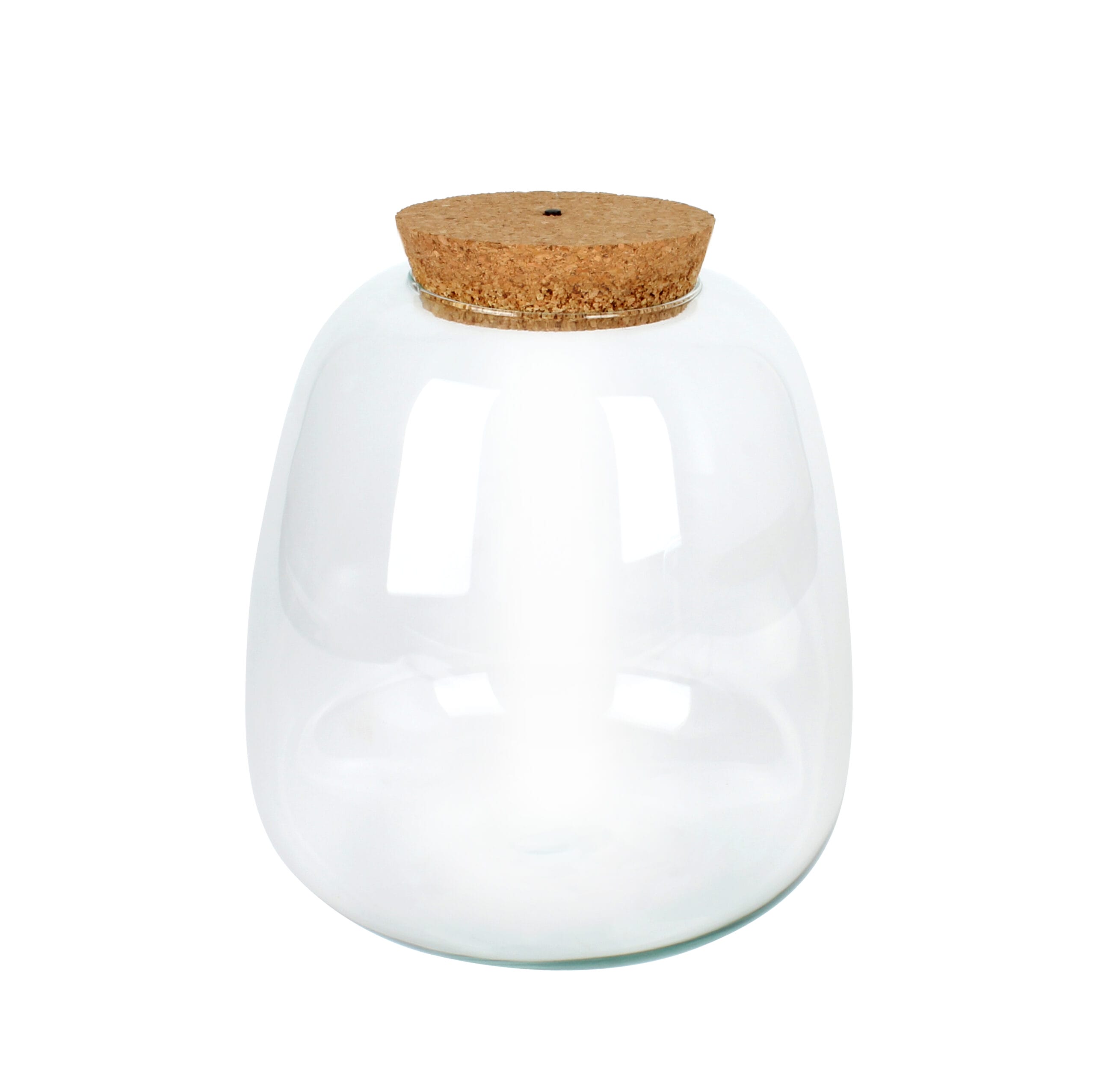 Planten terrarium DIY - Plant Puzzle Ecosysteem - met verlichting ↑ 25 cm ⌀ 23 cm - Afbeelding 4