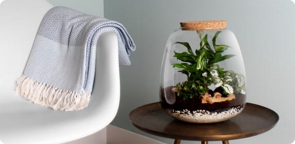 Planten terrarium DIY - Plant Puzzle Ecosysteem - met verlichting ↑ 25 cm ⌀ 23 cm - Afbeelding 6