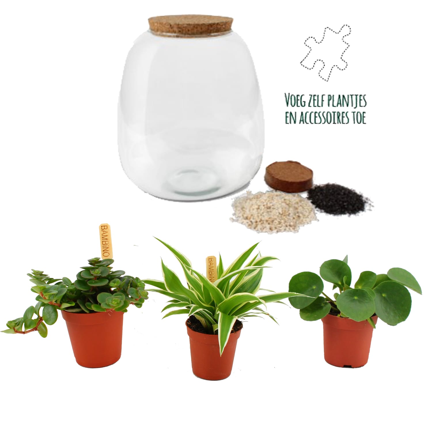 Planten terrarium DIY - Plant Puzzle Ecosysteem - met verlichting ↑ 25 cm ⌀ 23 cm