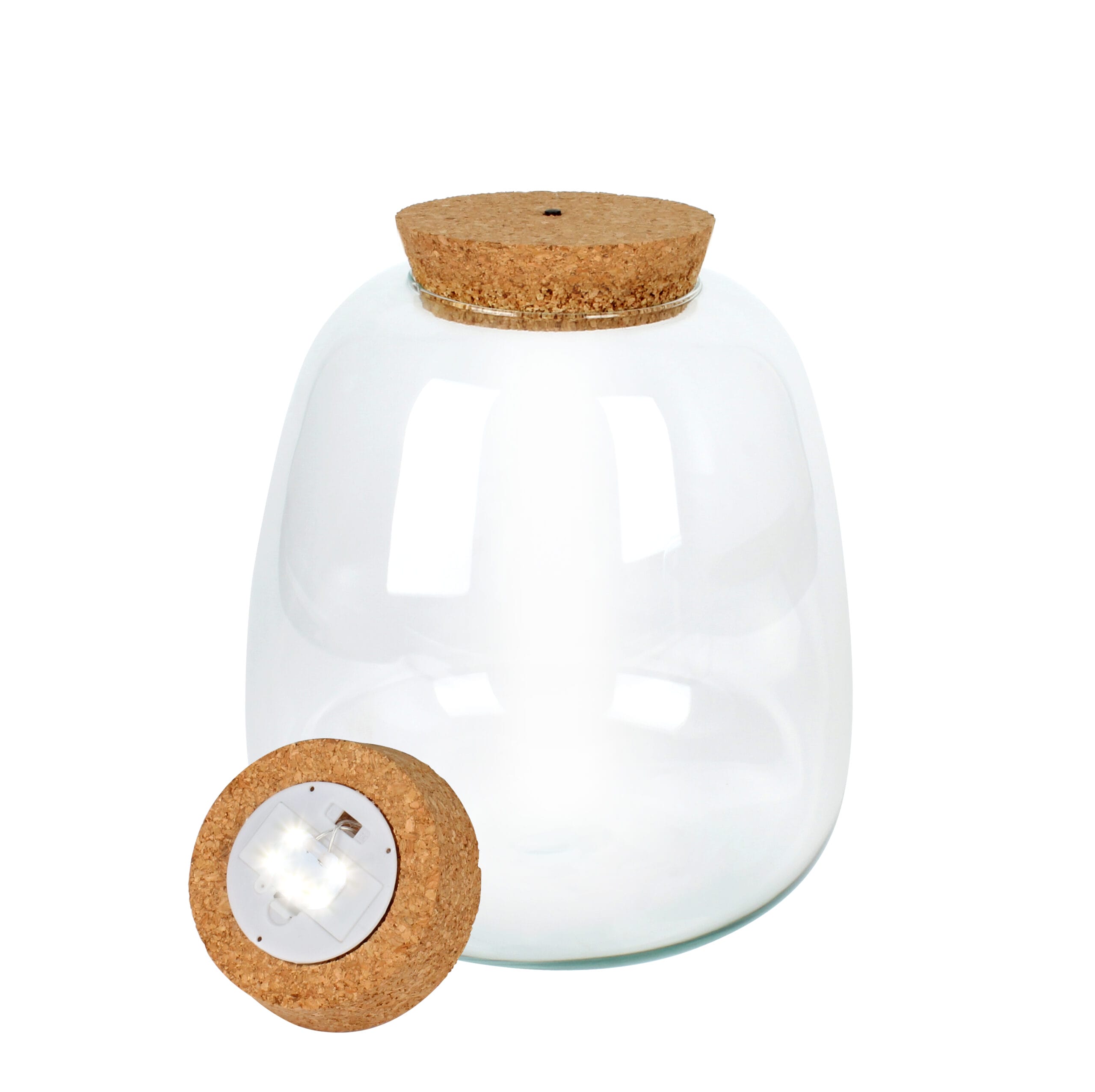 Planten terrarium DIY - Plant Puzzle Ecosysteem - met verlichting ↑ 25 cm ⌀ 23 cm - Afbeelding 3