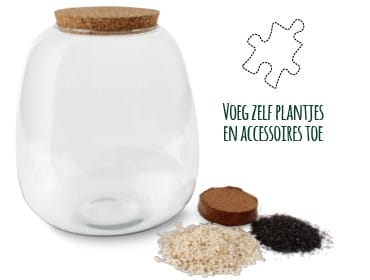 Planten terrarium DIY - Plant Puzzle Ecosysteem - met verlichting ↑ 25 cm ⌀ 23 cm - Afbeelding 5