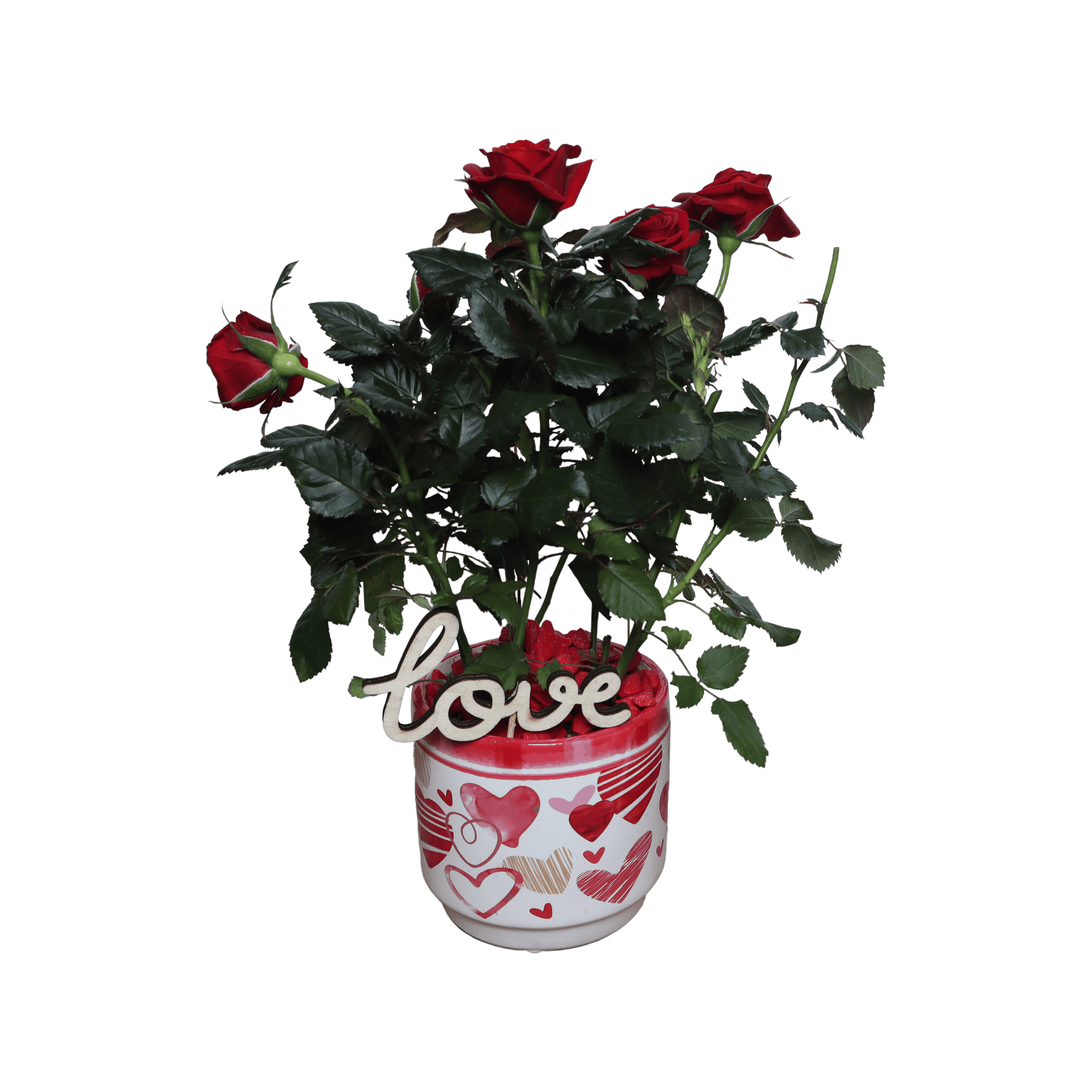 DIY Valentijnscadeau - romantiek ↑ 30 cm ⌀ 10 cm