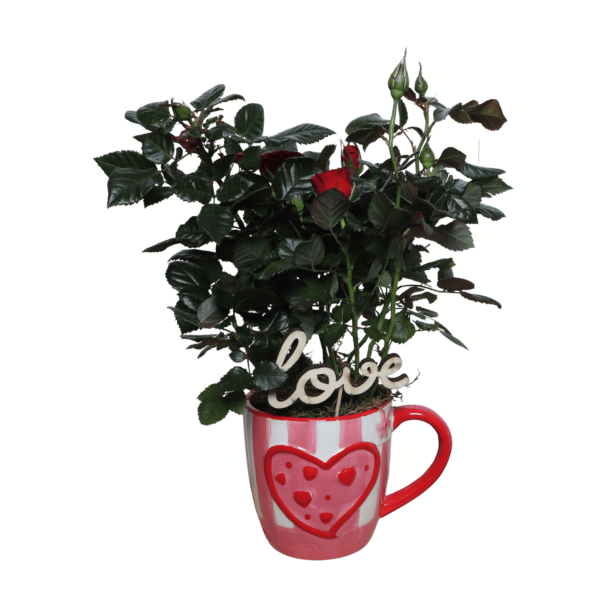 DIY Valentijdscadeau - roos en hartjes ↑ 30 cm ⌀ 11 cm