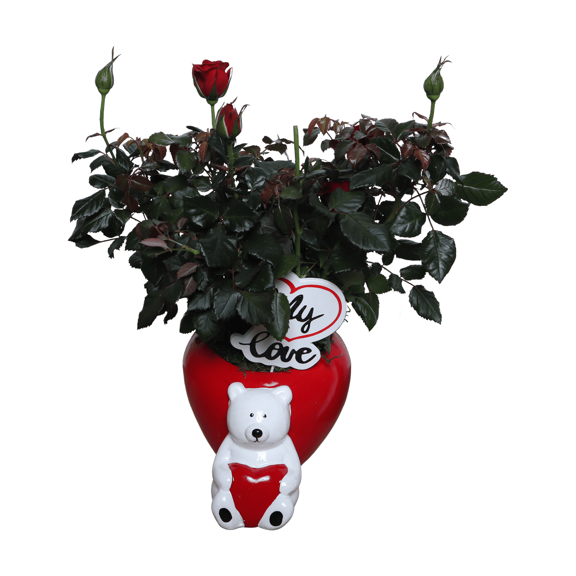 DIY Valentijdscadeau - rozenbeer ↑ 30 cm ⌀ 13 cm