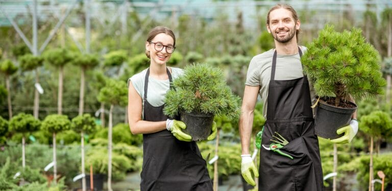 planten kwekerij
