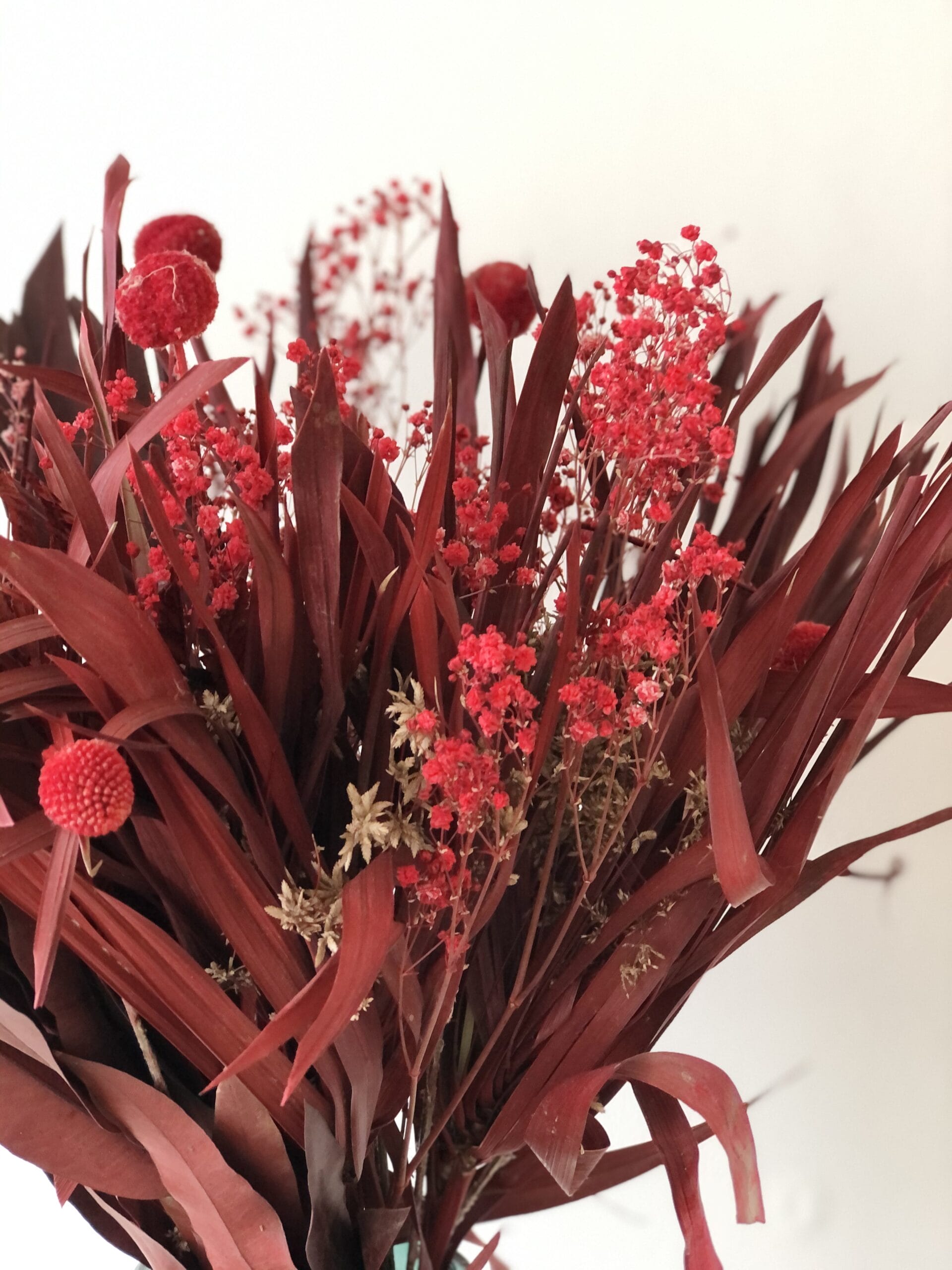 Droogbloemen boeket rood ↑ 65 cm - Afbeelding 3