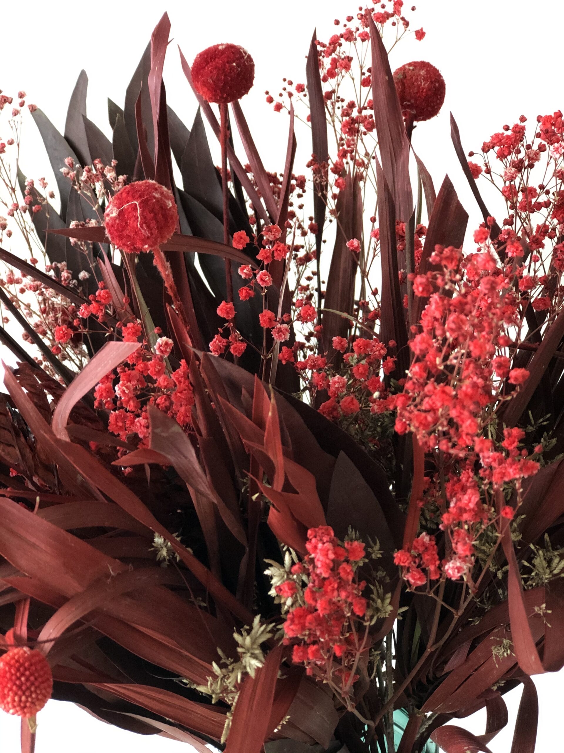 Droogbloemen boeket rood ↑ 65 cm - Afbeelding 2