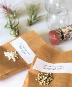 luchtplantjes DIY pakket glazen potjes 2