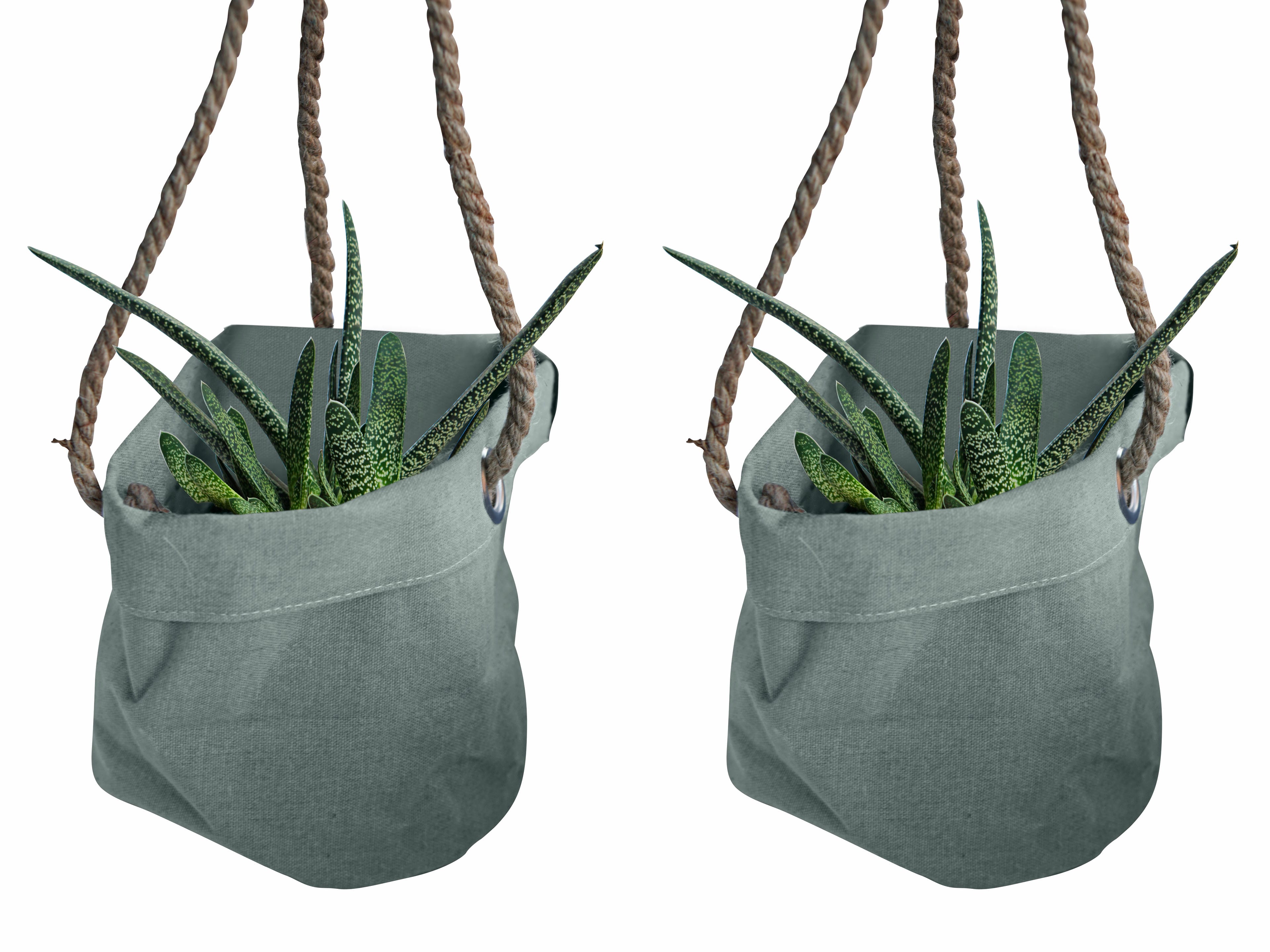 Duo Gasteria Little Warthy in Hangende Linnen Plantbag ↑ 15 cm ⌀ 15 cm