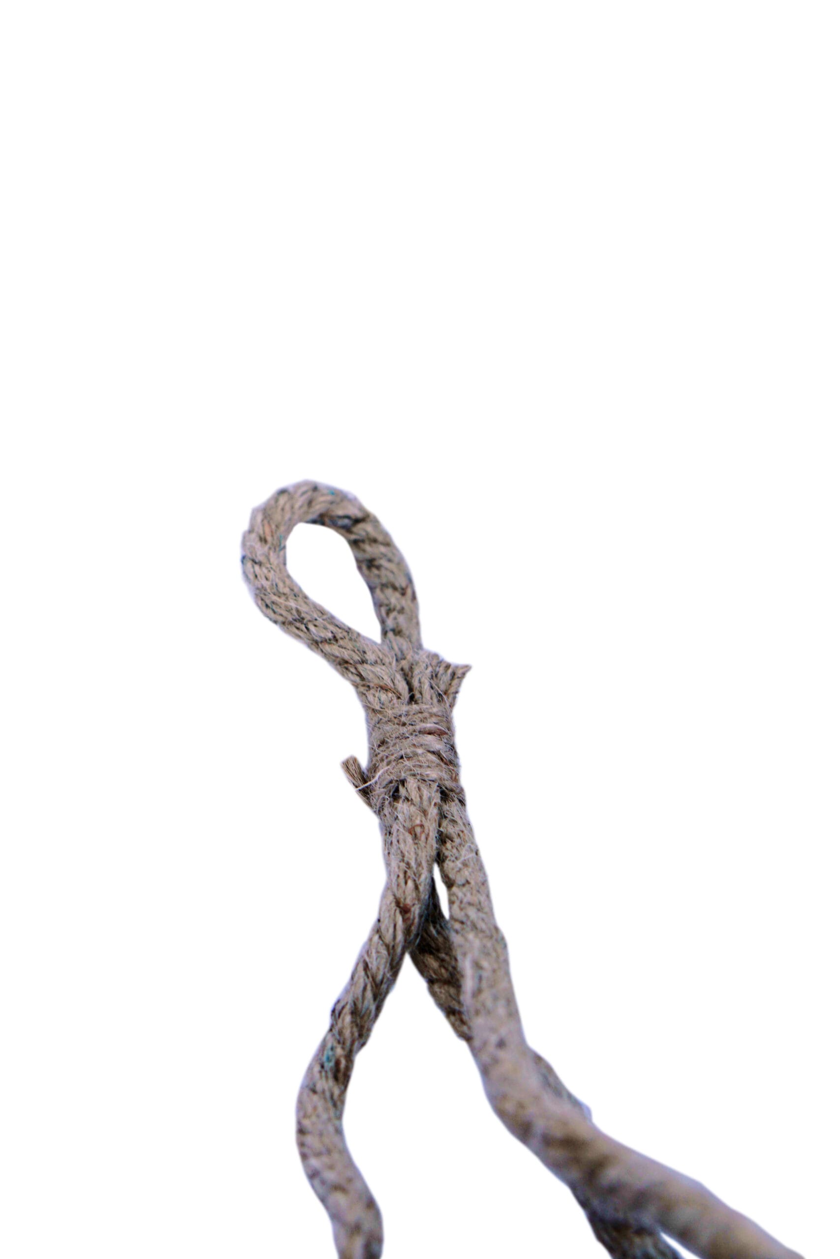 Duo Gasteria Little Warthy in Hangende Linnen Plantbag ↑ 15 cm ⌀ 15 cm - Afbeelding 3