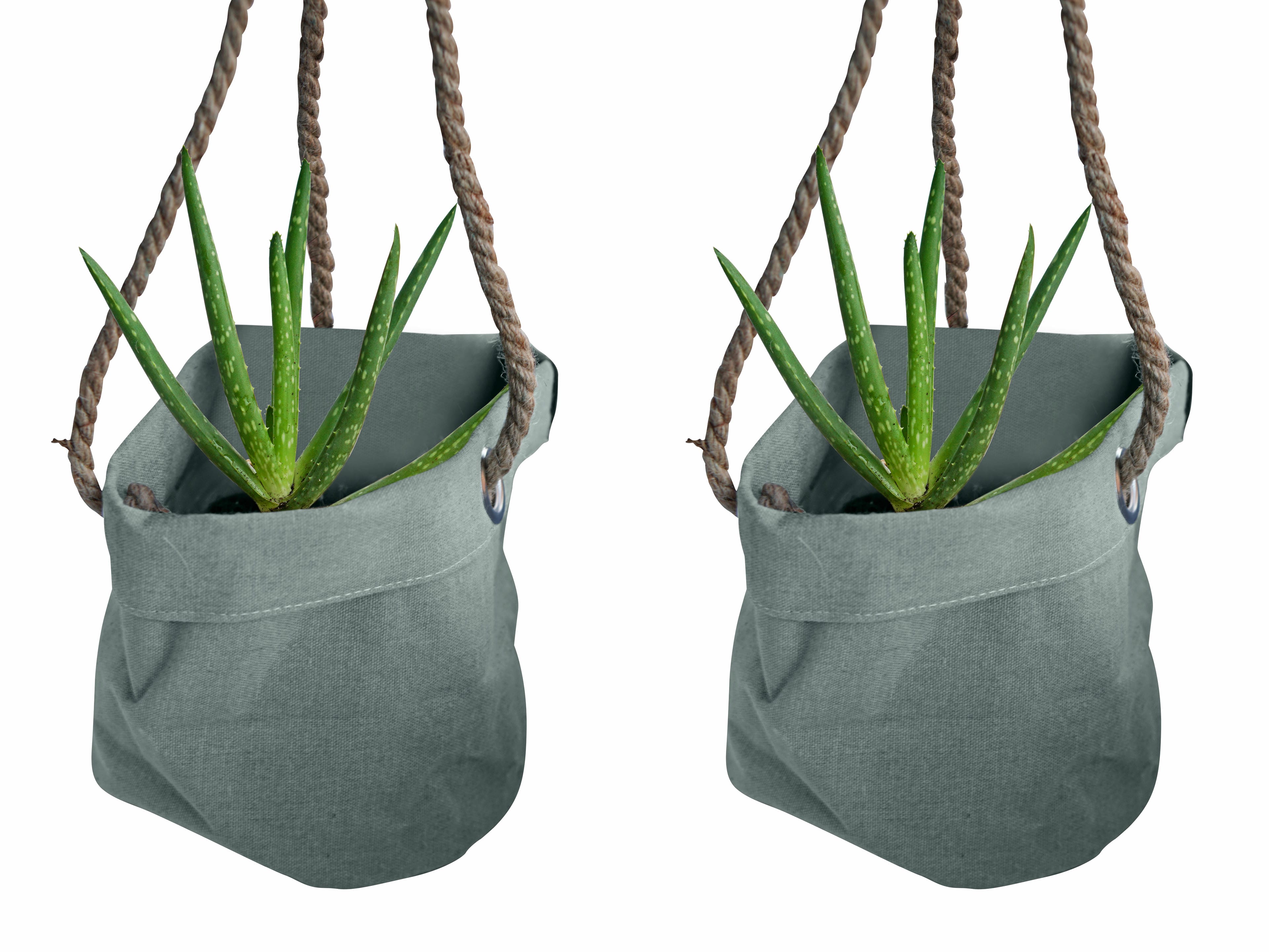 Duo Aloë Vera in Hangende Linnen Plantbag ↑ 25 cm ⌀ 15 cm