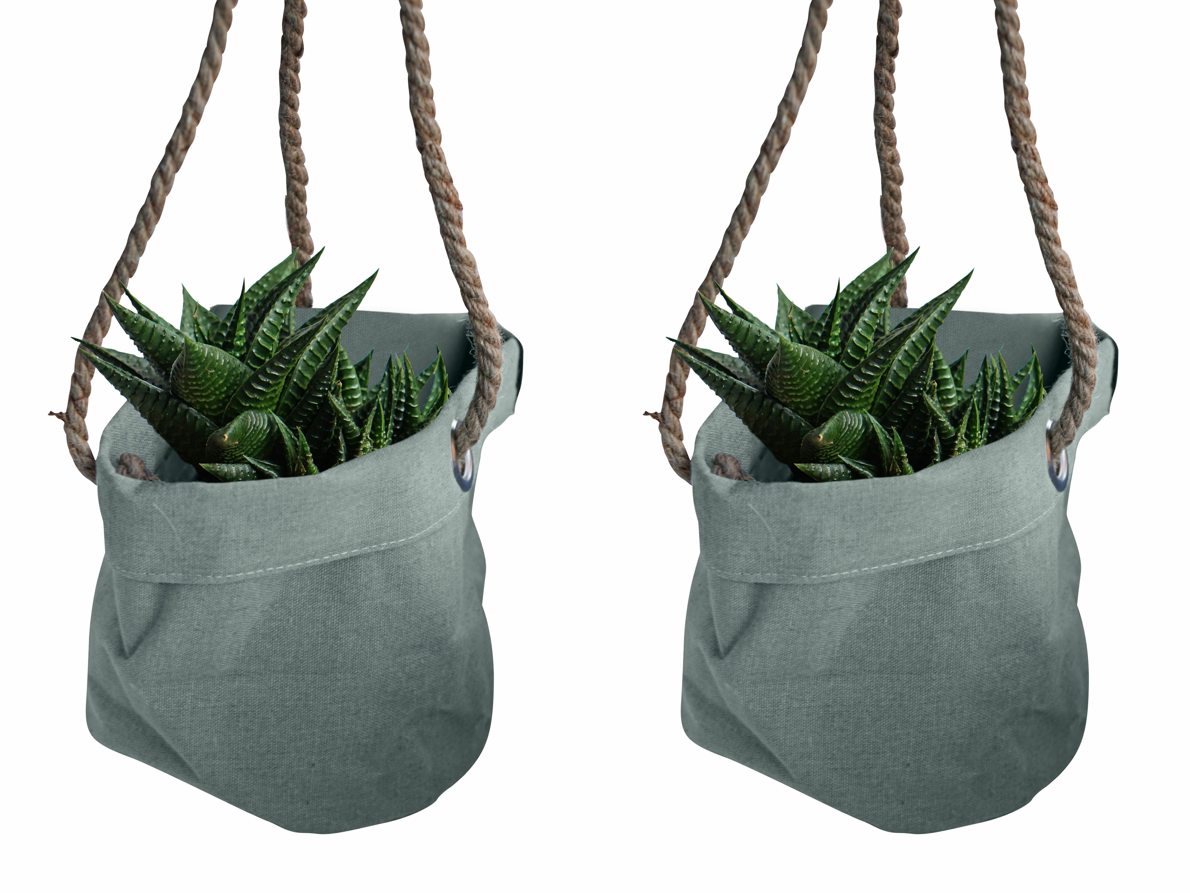 Duo Haworthia Limafolia in Hangende Linnen Plantbag ↑ 15 cm ⌀ 15 cm