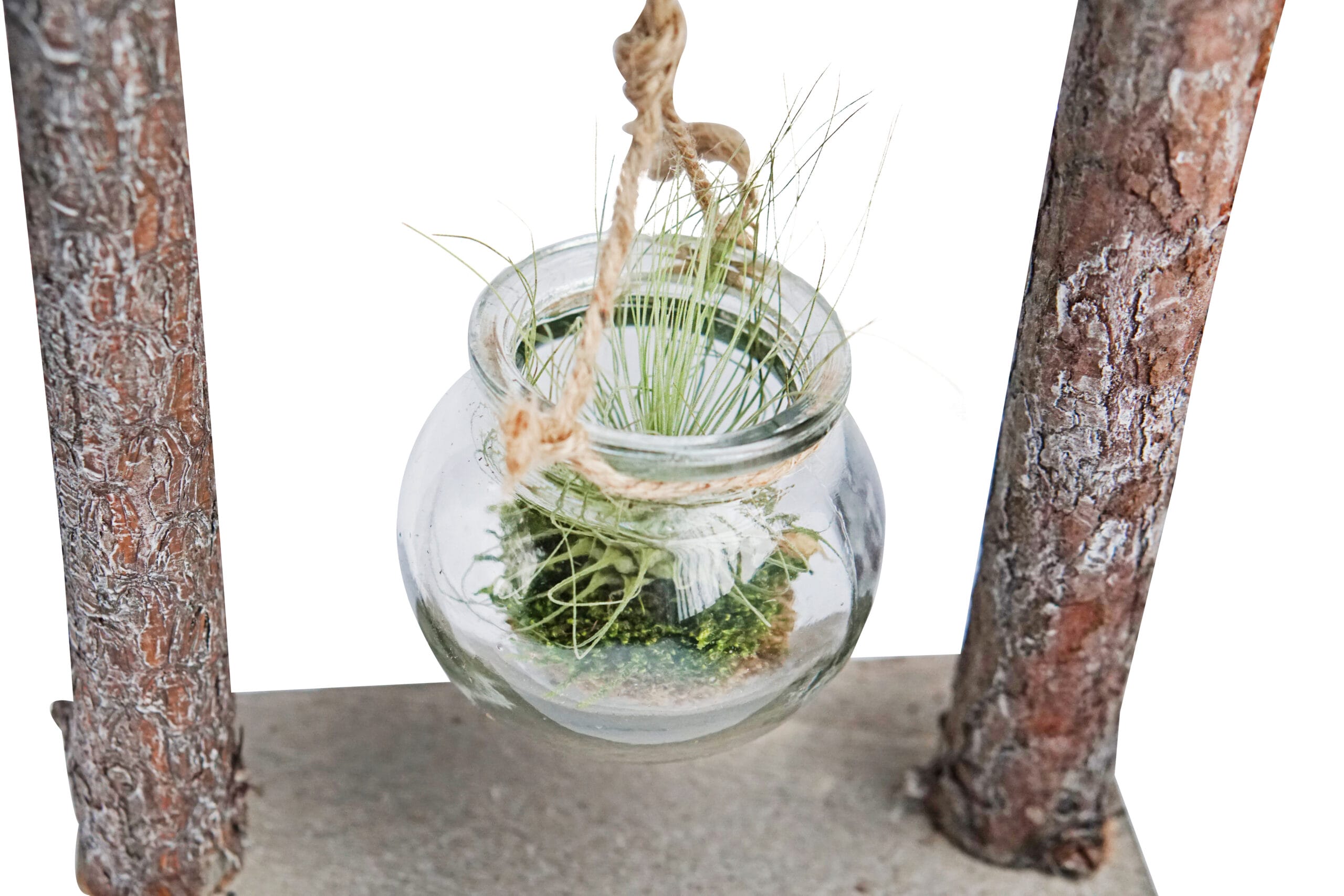 DIY Hangrek met Mos en Tillandsia ↑ 24 cm ⌀ 18 cm - Afbeelding 5