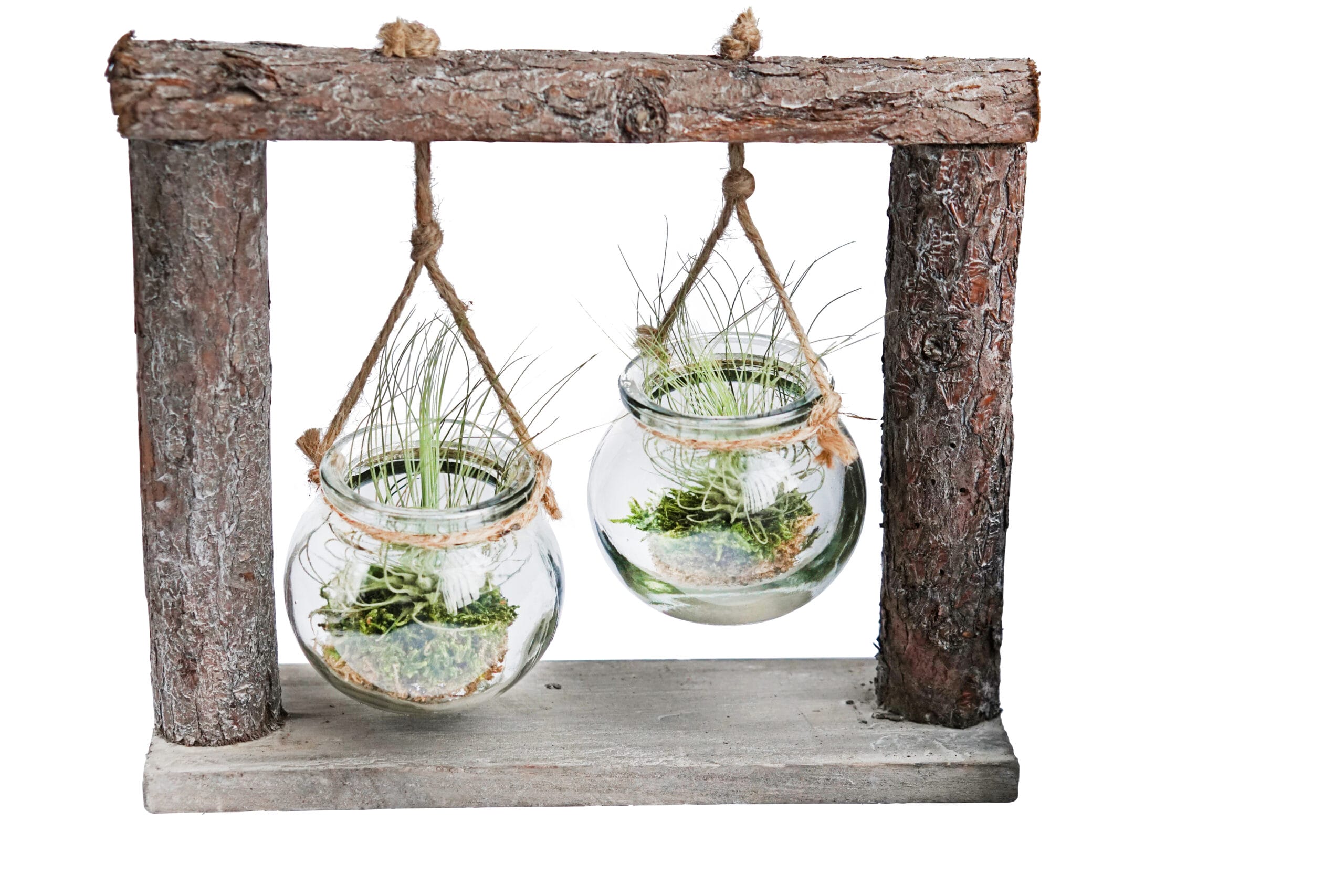 DIY Dubbel hangrek met Tillandsia ↑ 21 cm ⌀ 24 cm