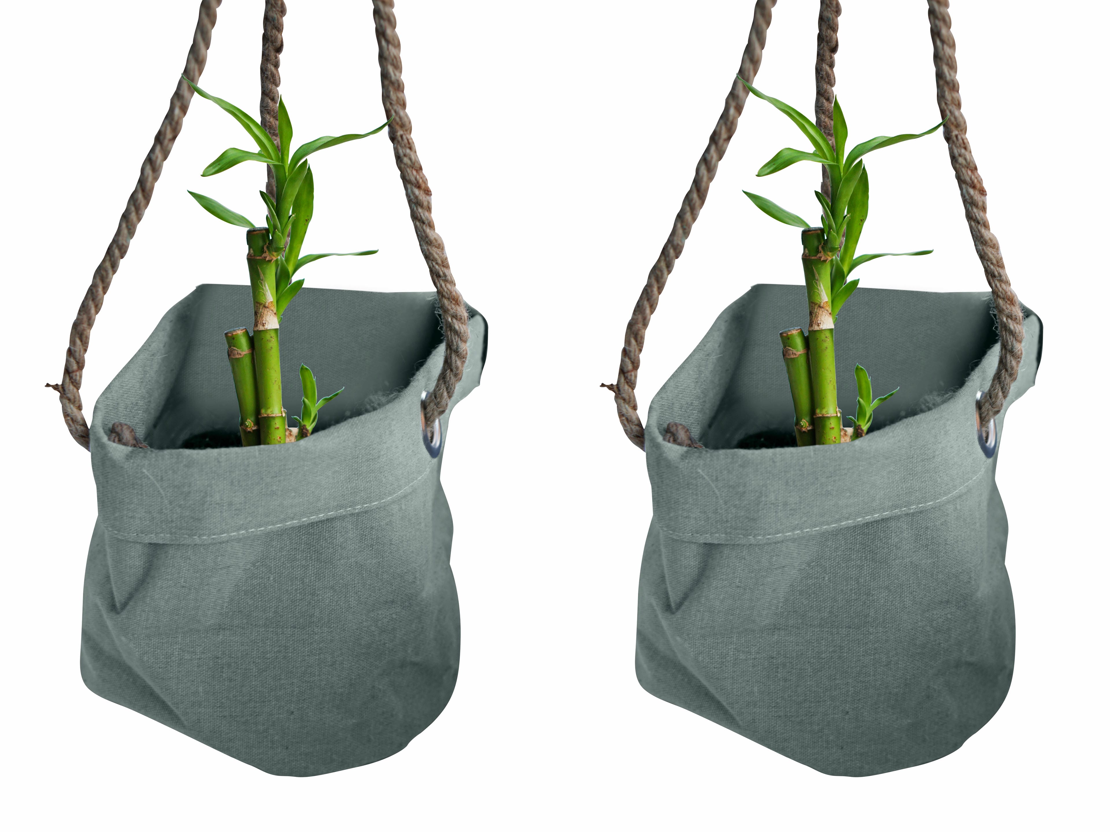 Duo Dracaena Sanderiana 'Lucky Bamboo' in Hangende Linnen Plantbag ↑ 15 cm ⌀ 15 cm