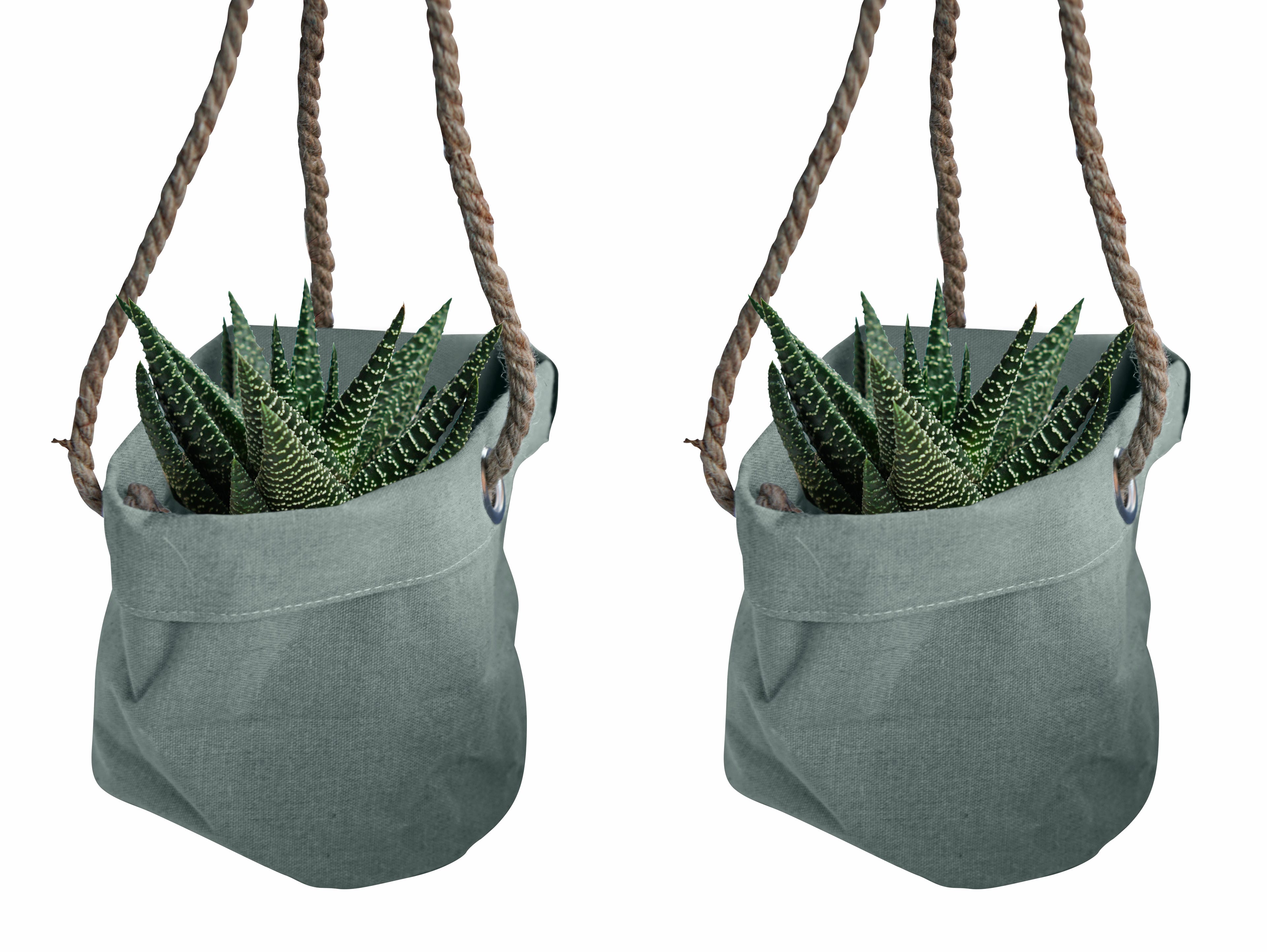 Duo Gasterhowarthia Royal Highness in Hangende Linnen Plantbag ↑ 15 cm ⌀ 15 cm