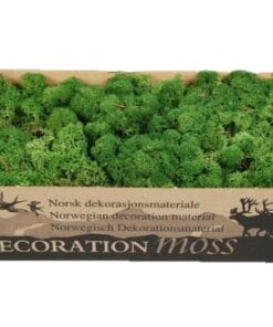 IJslands mos gedroogd - Mosgroen - 500 gram
