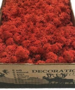 IJslands mos gedroogd - Rood - 500 gram