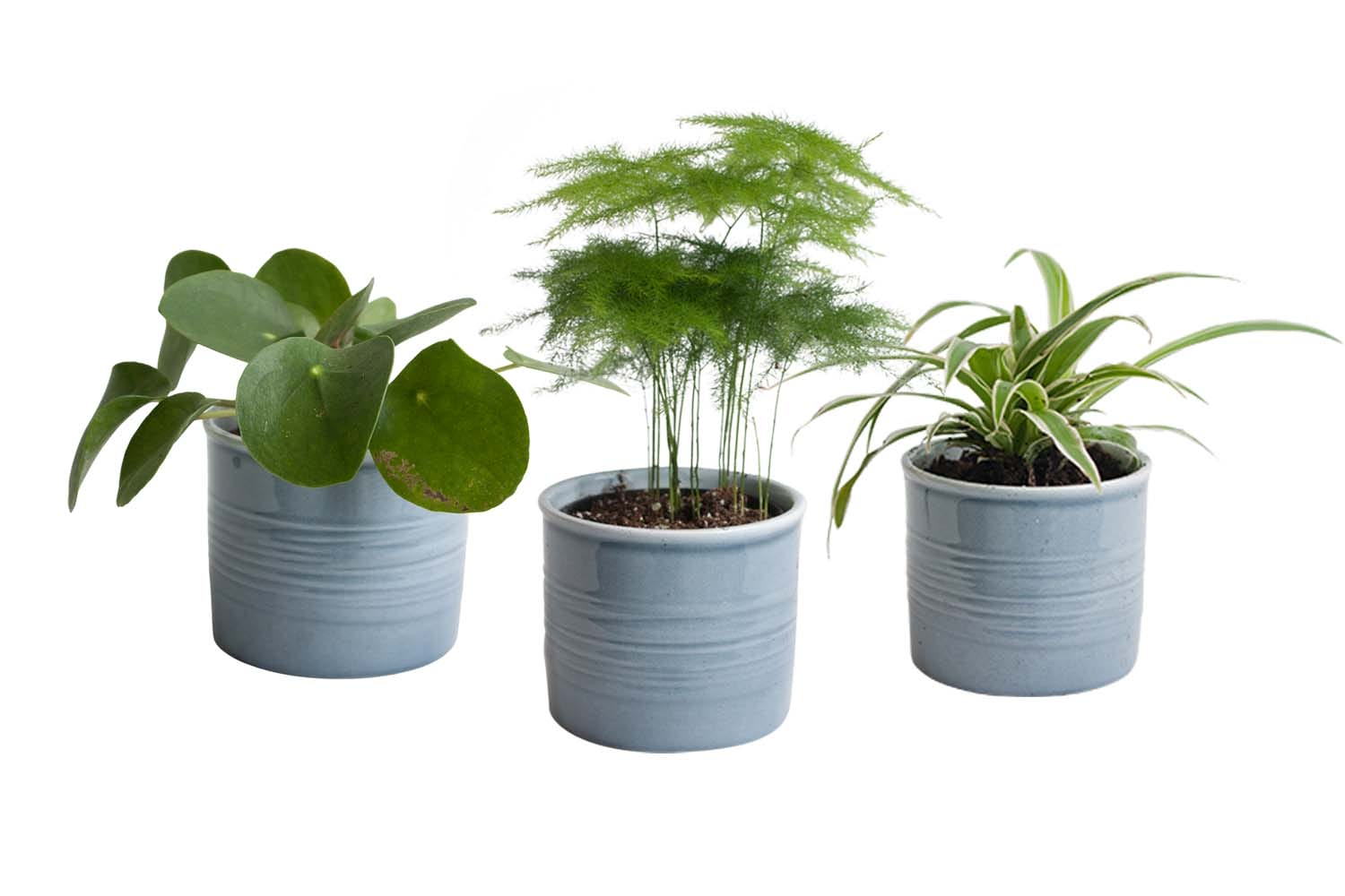 Mini Green | Hip Trio in Laos keramiek (blauwgrijs) ↑ 15 cm ⌀ 10 cm