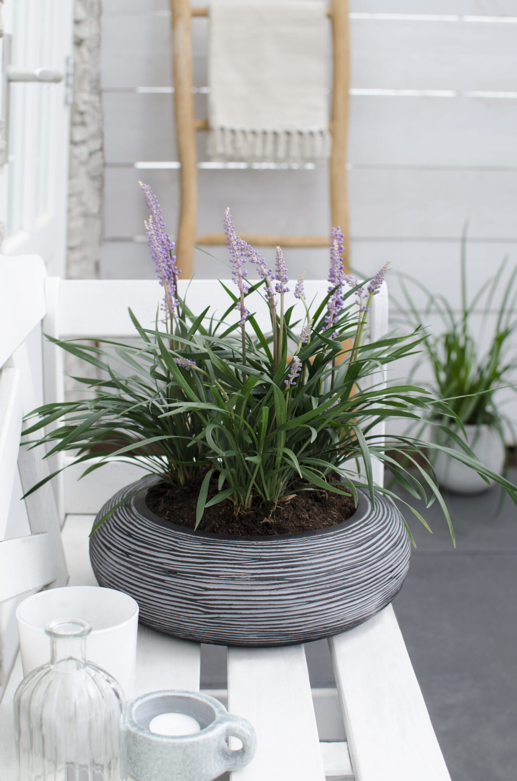 Leliegras in ELHO balkonbak (Bladgroen) met metalen balkonrek ↑ 30 cm ⌀ 60 cm - Afbeelding 5